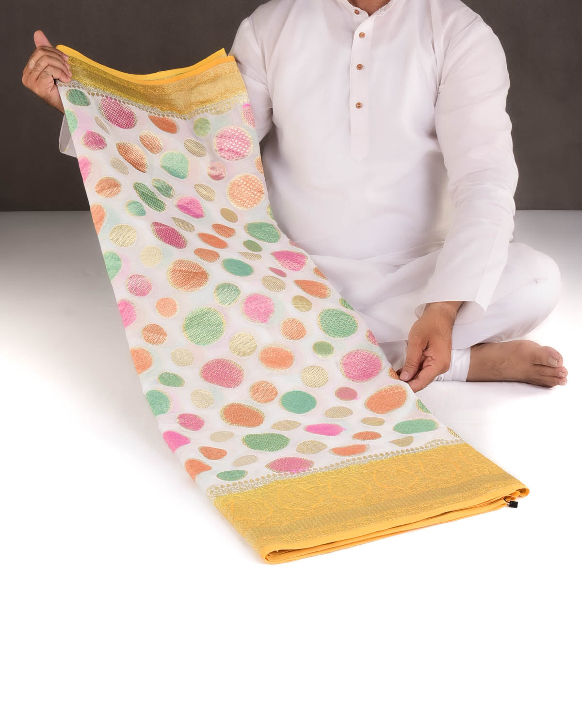 Hand Brush Multi-color Gold Zari Spheres Cutwork Brocade Handwoven Khaddi Georgette Banarasi Saree-HolyWeaves