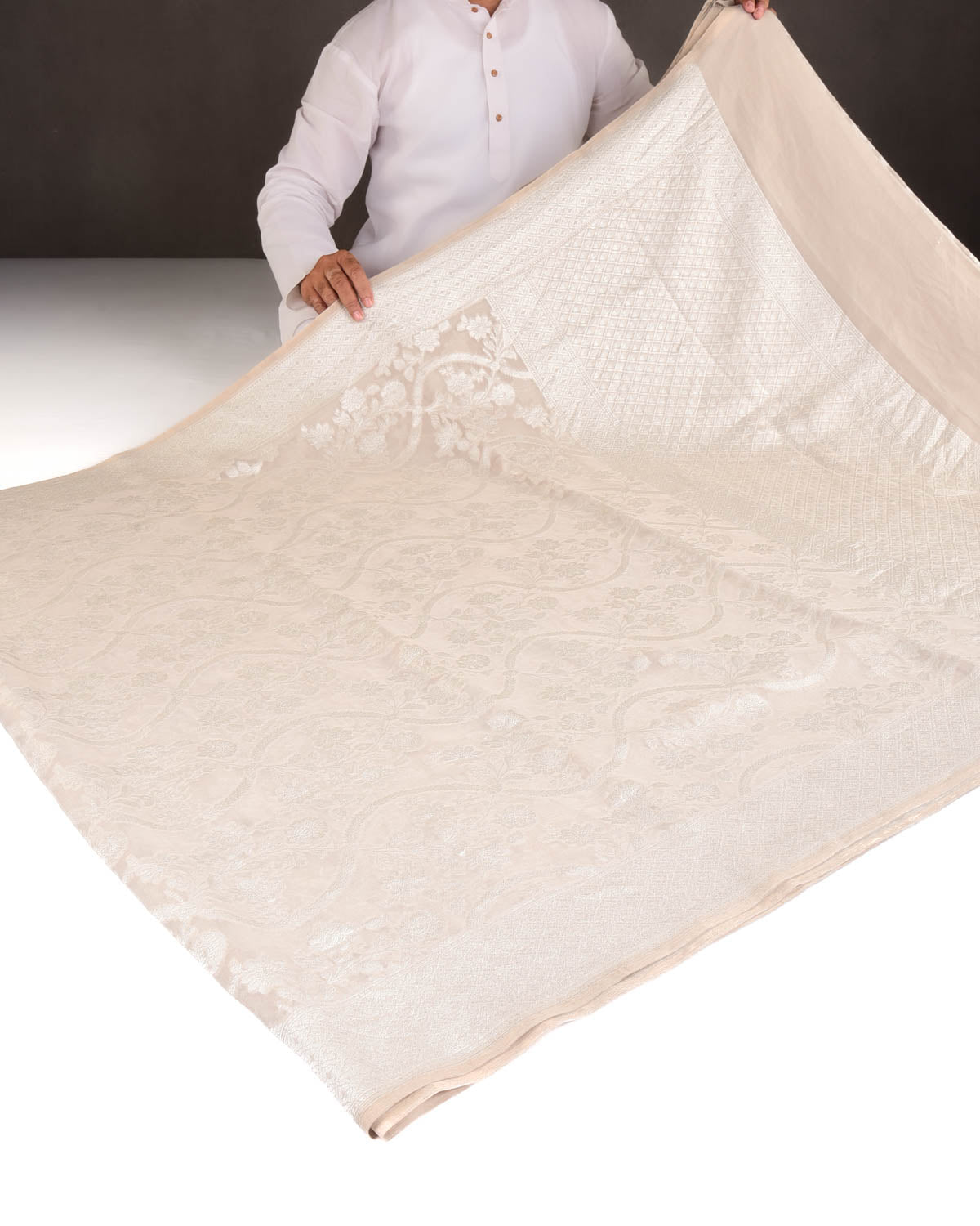 Beige Silver Zari Jaal Cutwork Brocade Handwoven Georgette Tissue Banarasi Saree-HolyWeaves
