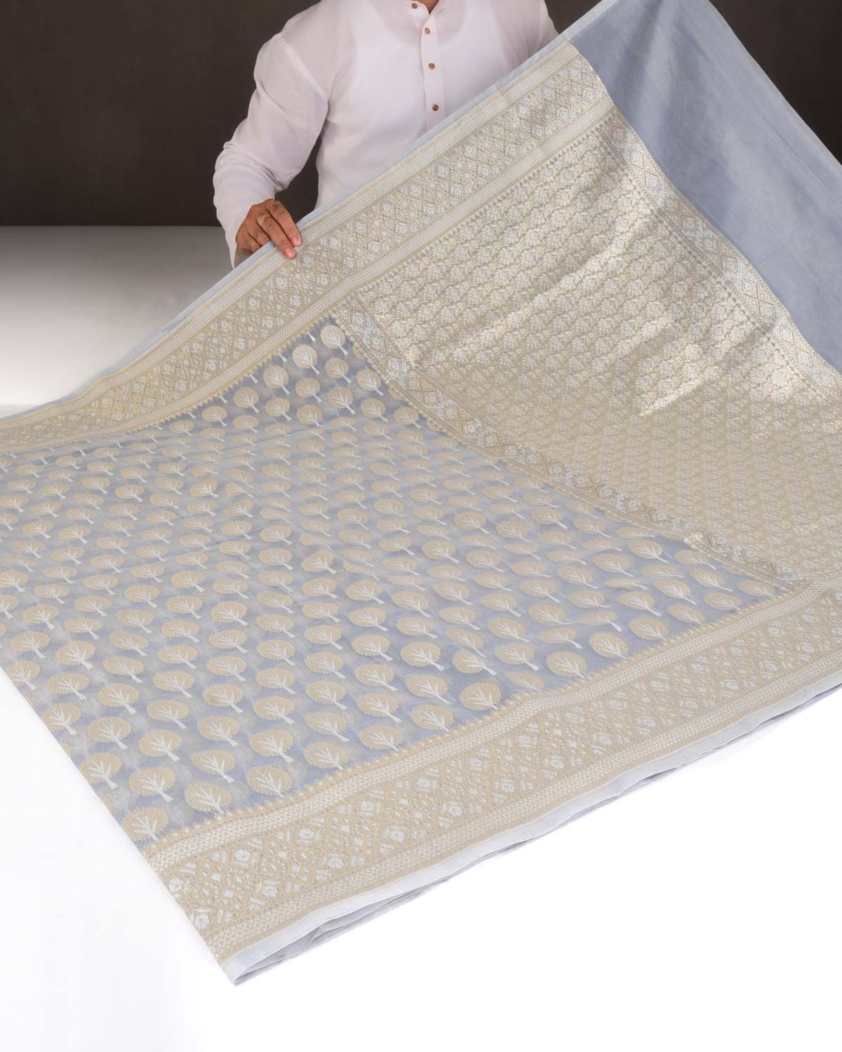 Gray Gold & Silver Zari Buti Cutwork Brocade Woven Art Cotton Silk Banarasi Saree-HolyWeaves