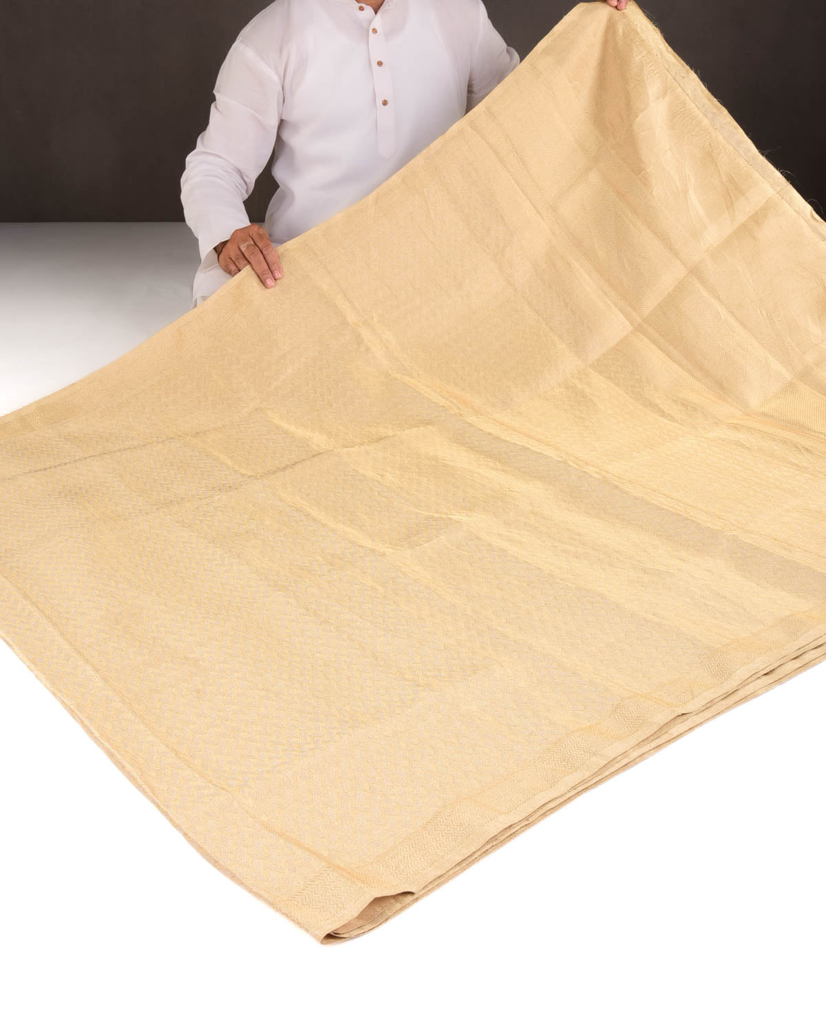 Metallic Gold Herring Bone Brocade Handwoven Tissue Banarasi Saree-HolyWeaves