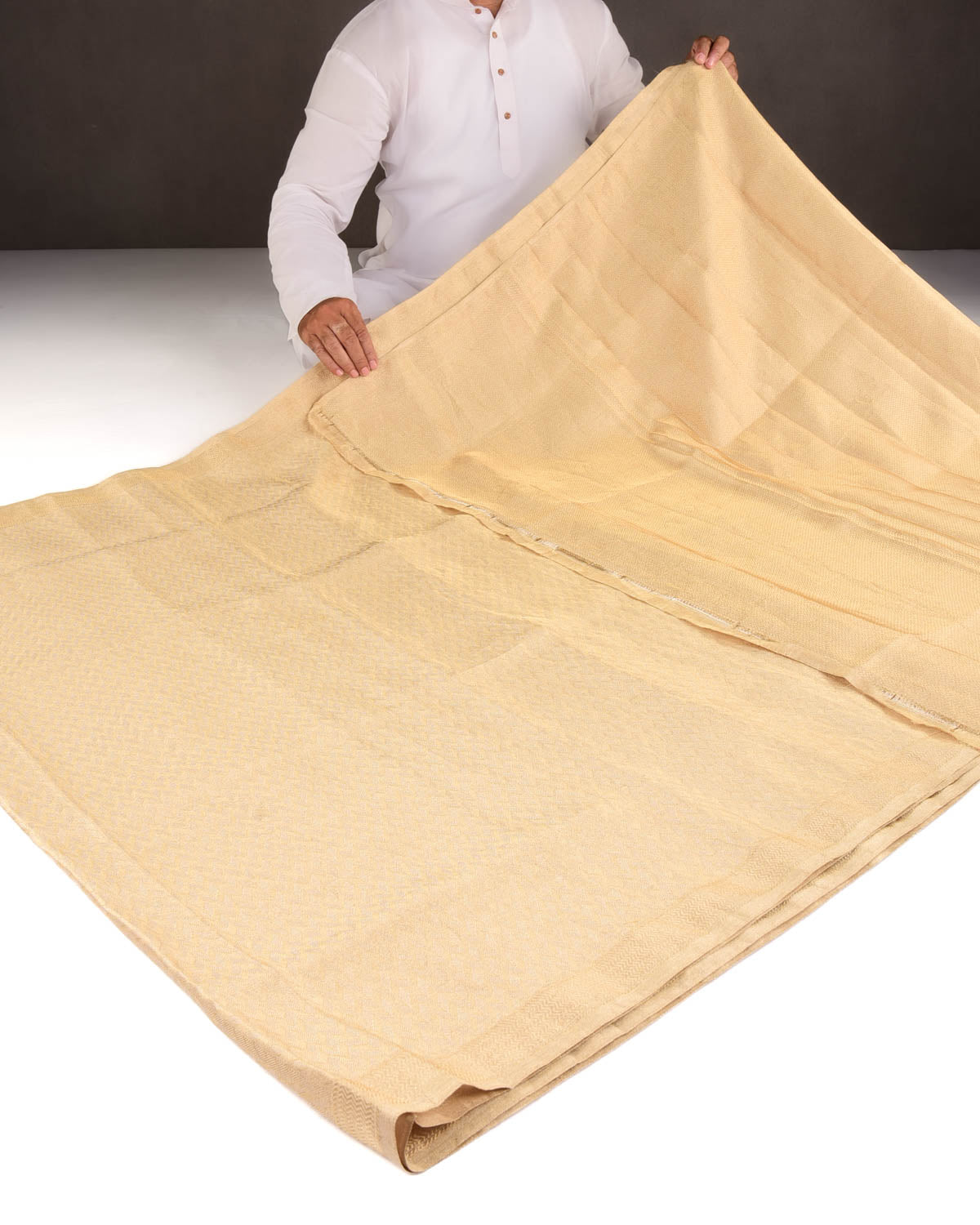 Metallic Gold Herring Bone Brocade Handwoven Tissue Banarasi Saree-HolyWeaves