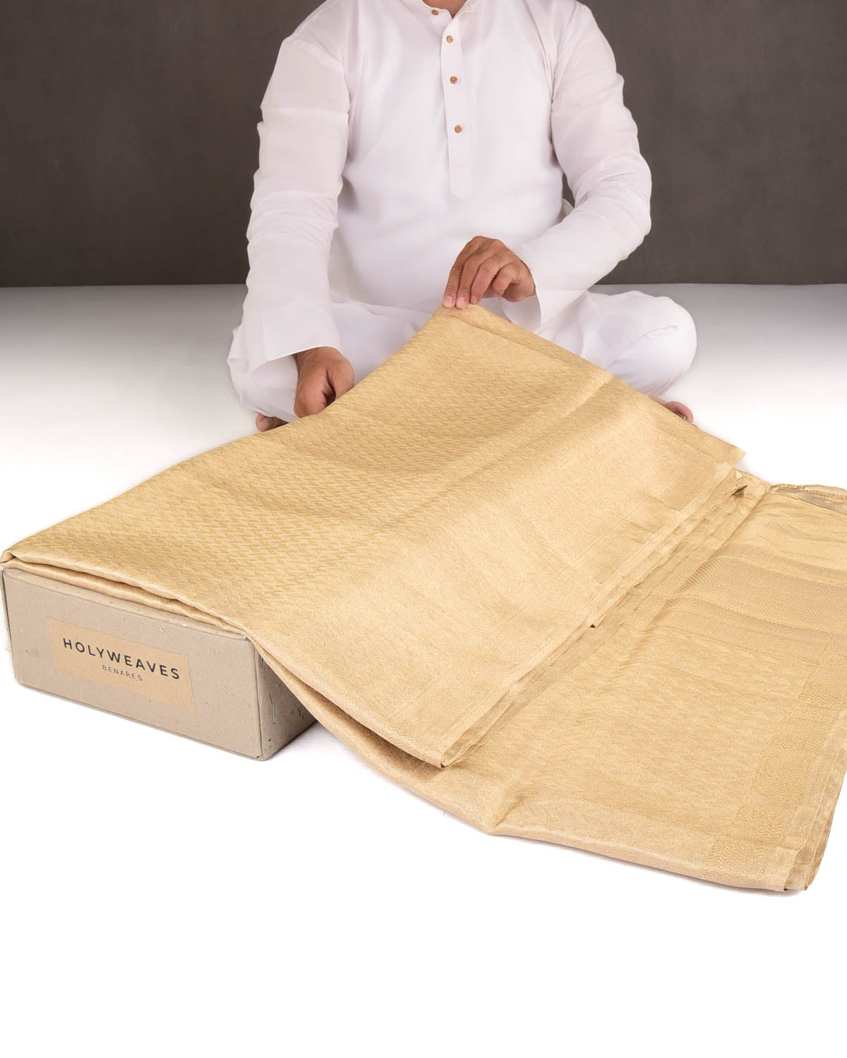 Metallic Gold Herring Bone Brocade Handwoven Tissue Banarasi Saree-HolyWeaves