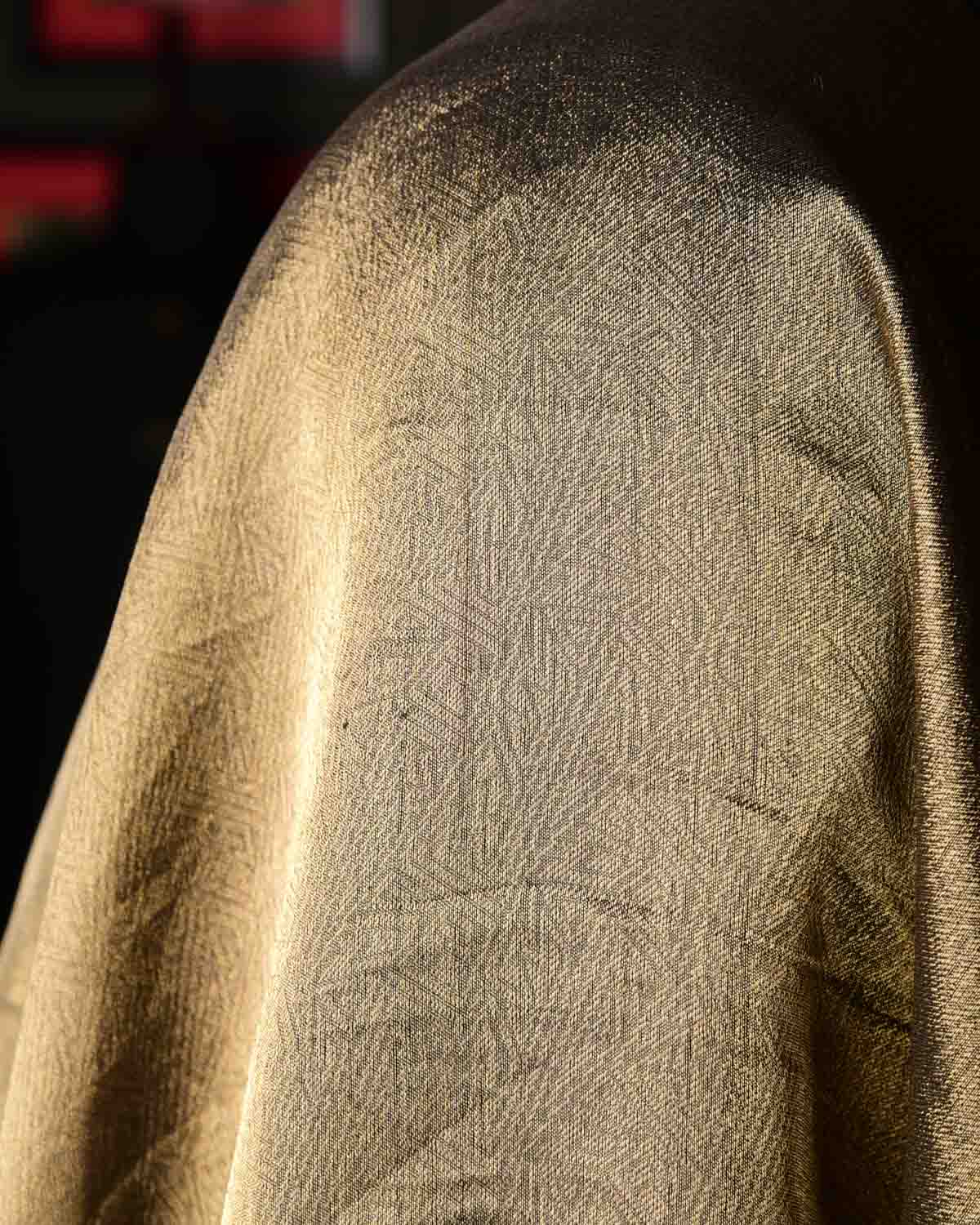 Metallic Antique Gold WATERMARK Abstract Geometry Brocade Handwoven Kora Tissue Banarasi Dupatta-HolyWeaves