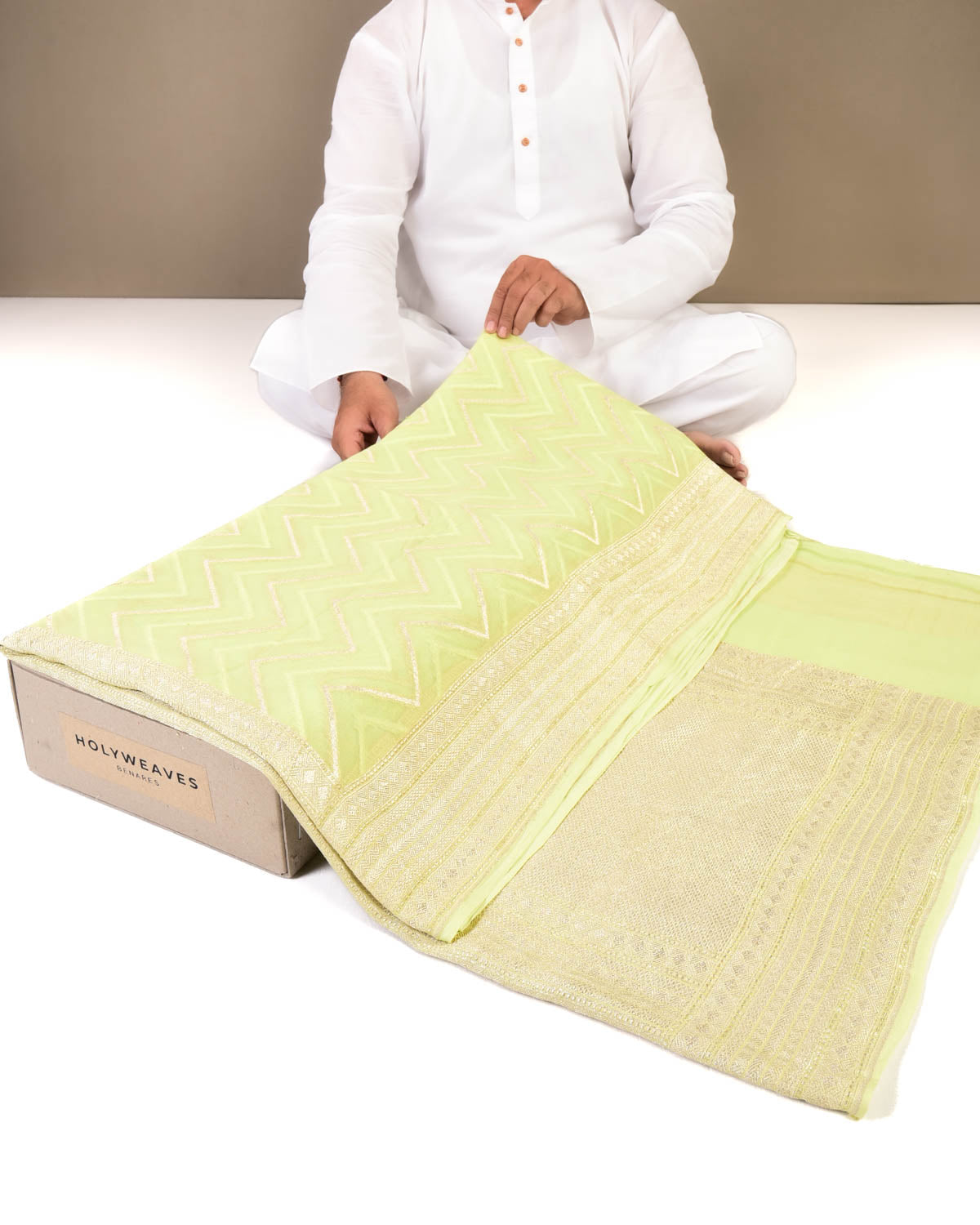 Pastel Green Banarasi Zari & Resham Chevron Cutwork Brocade Handwoven Khaddi Georgette Saree-HolyWeaves
