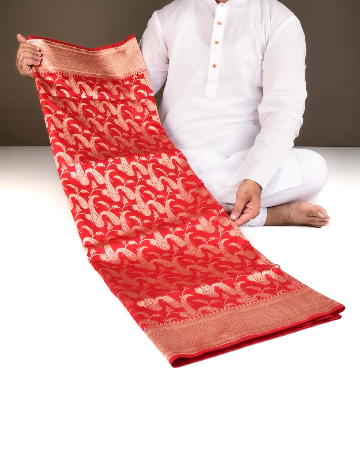 Bridal Red Banarasi Gold Zari Paisley Jaal Cutwork Brocade Handwoven Katan Silk Saree-HolyWeaves