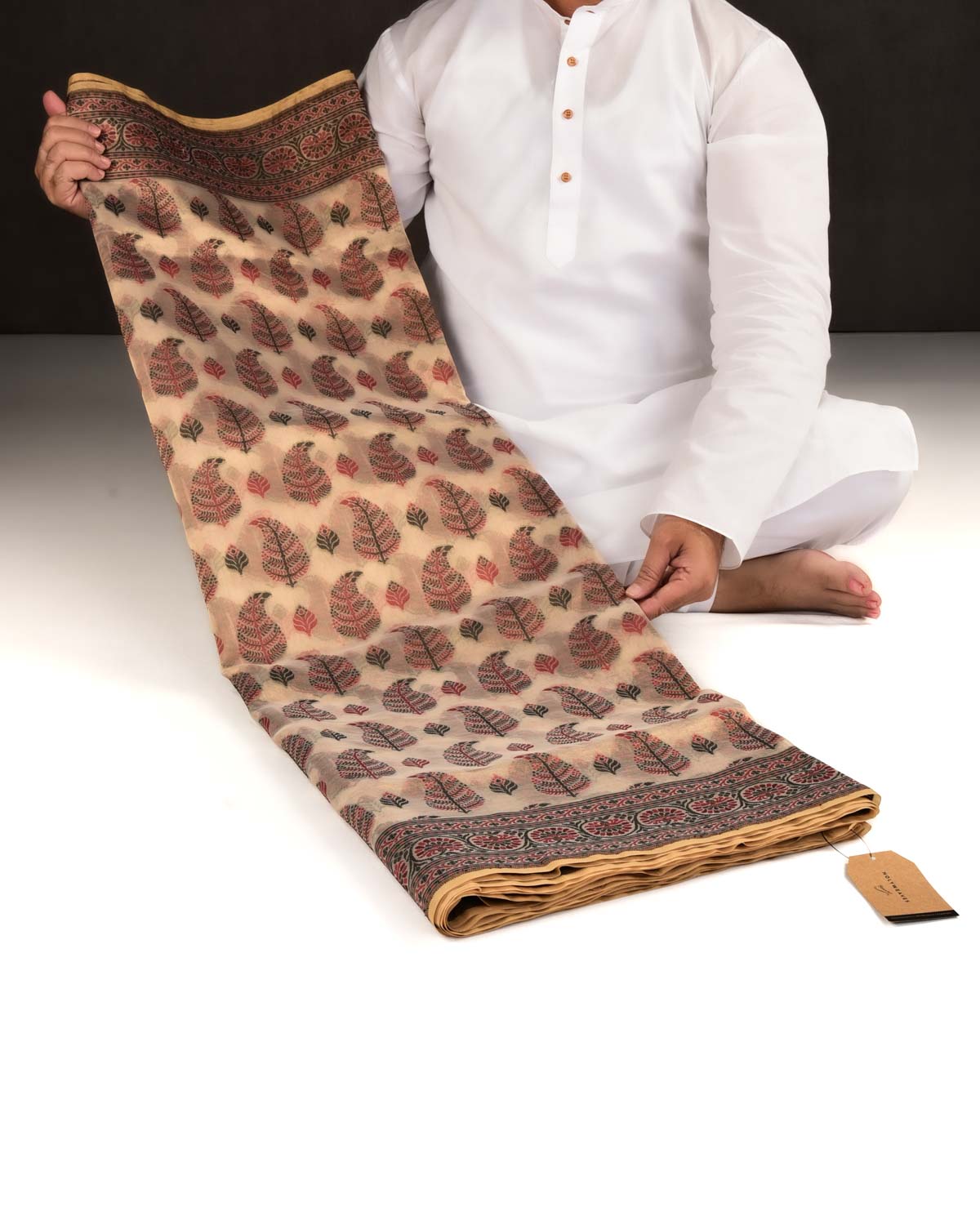 Metallic Beige Banarasi Red & Black Paisley Leaf Buta Cutwork Brocade Woven Cotton Tissue Saree-HolyWeaves