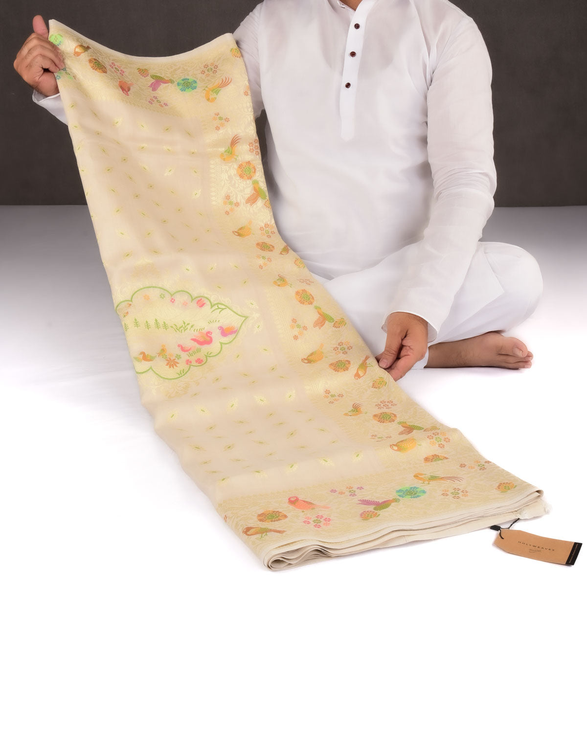 Beige Banarasi Gold Zari and Multi-color Resham Cutwork Brocade Handwoven Tasar Georgette Saree-HolyWeaves