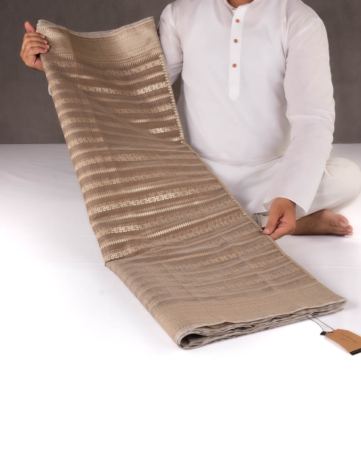 Stone Gray Banarasi Light Gold Zari Ornament Stripes Cutwork Brocade Woven Art Cotton Silk Saree-HolyWeaves