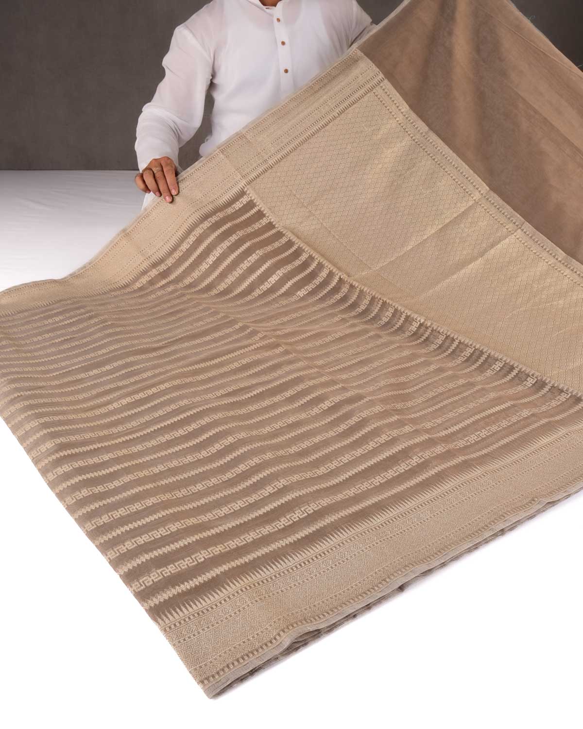 Stone Gray Banarasi Light Gold Zari Ornament Stripes Cutwork Brocade Woven Art Cotton Silk Saree-HolyWeaves