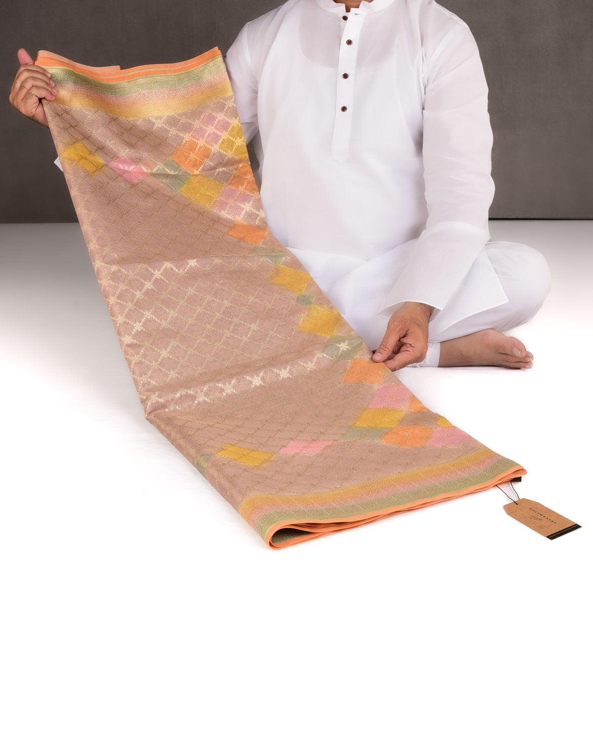 Mauve Multi-color Hand Brush Dye Gold Zari Cutwork Brocade Woven Cotton Tissue Banarasi Saree-HolyWeaves