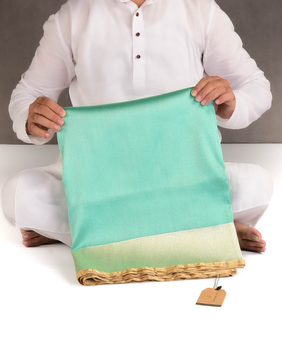 Metallic Paris Green Drill Brocade Handwoven Net Tissue Banarasi Saree with Silver Zari Border Pallu-HolyWeaves