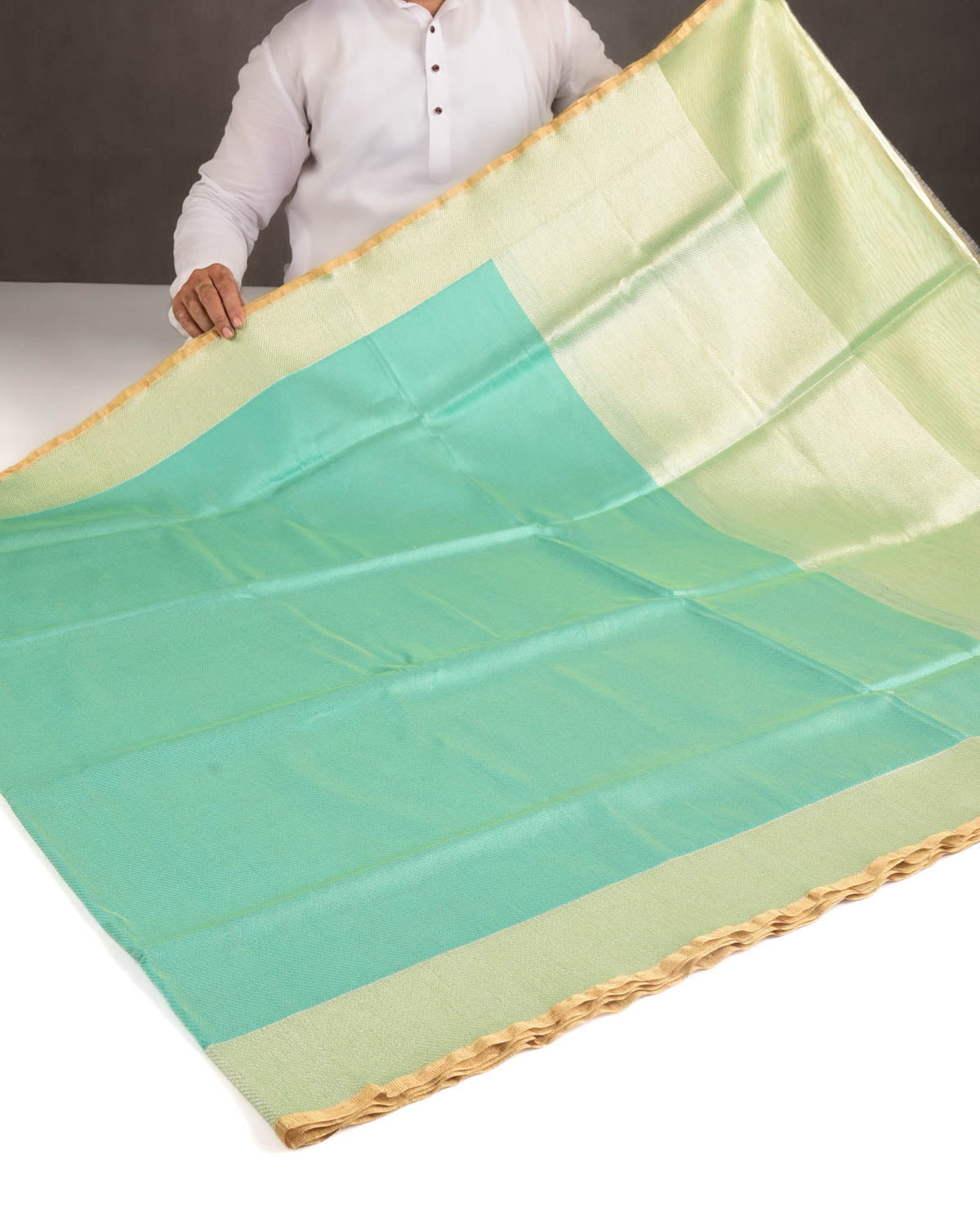 Metallic Paris Green Drill Brocade Handwoven Net Tissue Banarasi Saree with Silver Zari Border Pallu-HolyWeaves