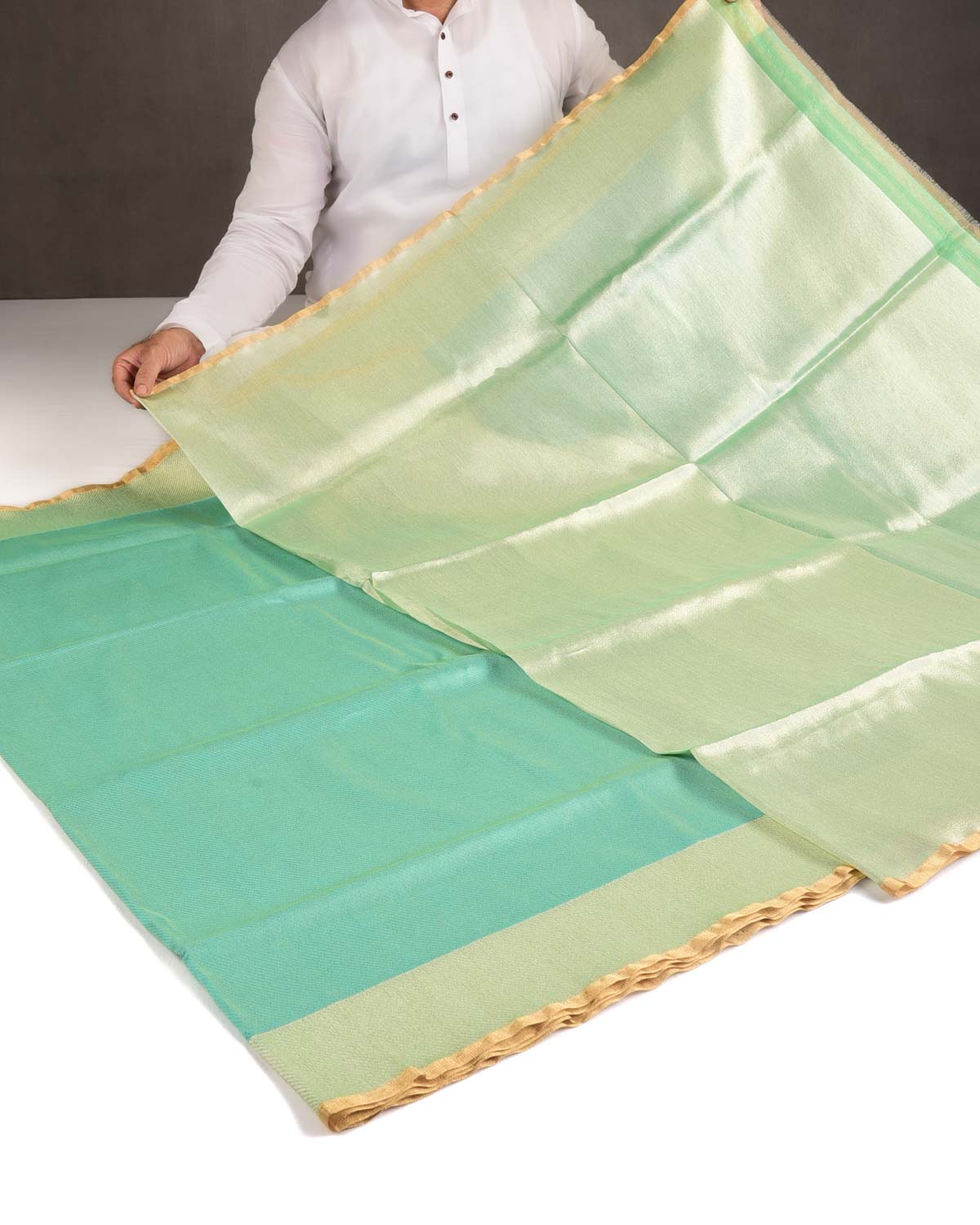 Metallic Paris Green Drill Brocade Handwoven Net Tissue Banarasi Saree with Silver Zari Border Pallu-HolyWeaves