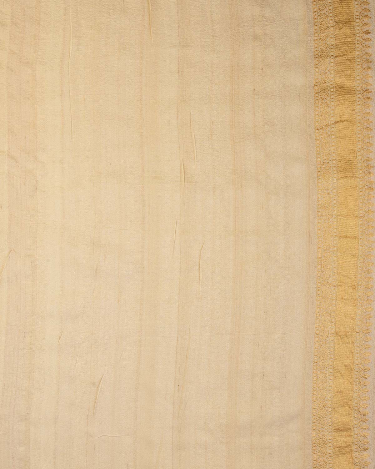 Textured Beige Gold Zari & Resham Floral Jaal Kadhuan Brocade Handwoven Tasar Georgette Banarasi Saree-HolyWeaves