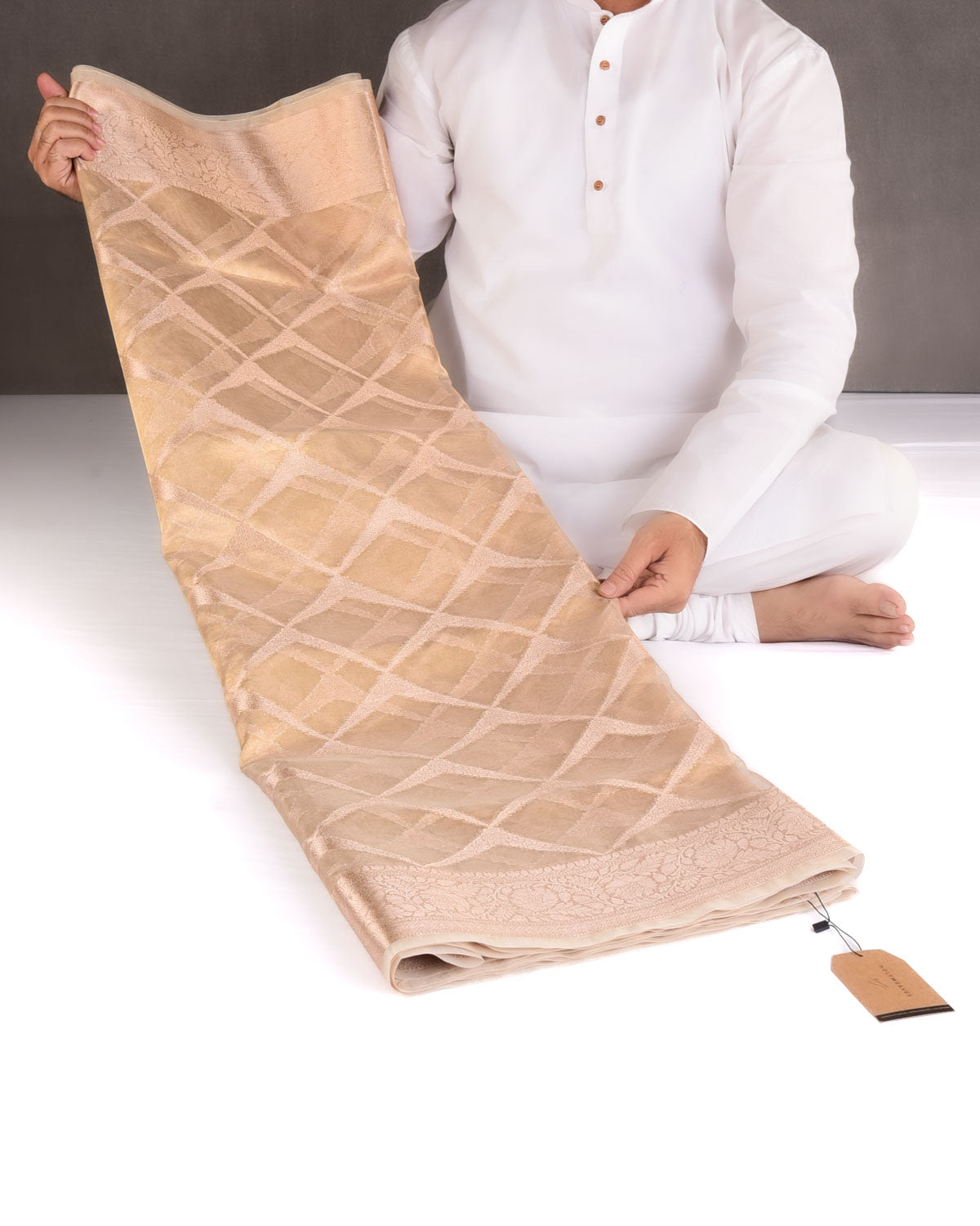 Metallic Gold Ornament Grids Cutwork Brocade Handwoven Kora Tissue Banarasi Saree-HolyWeaves