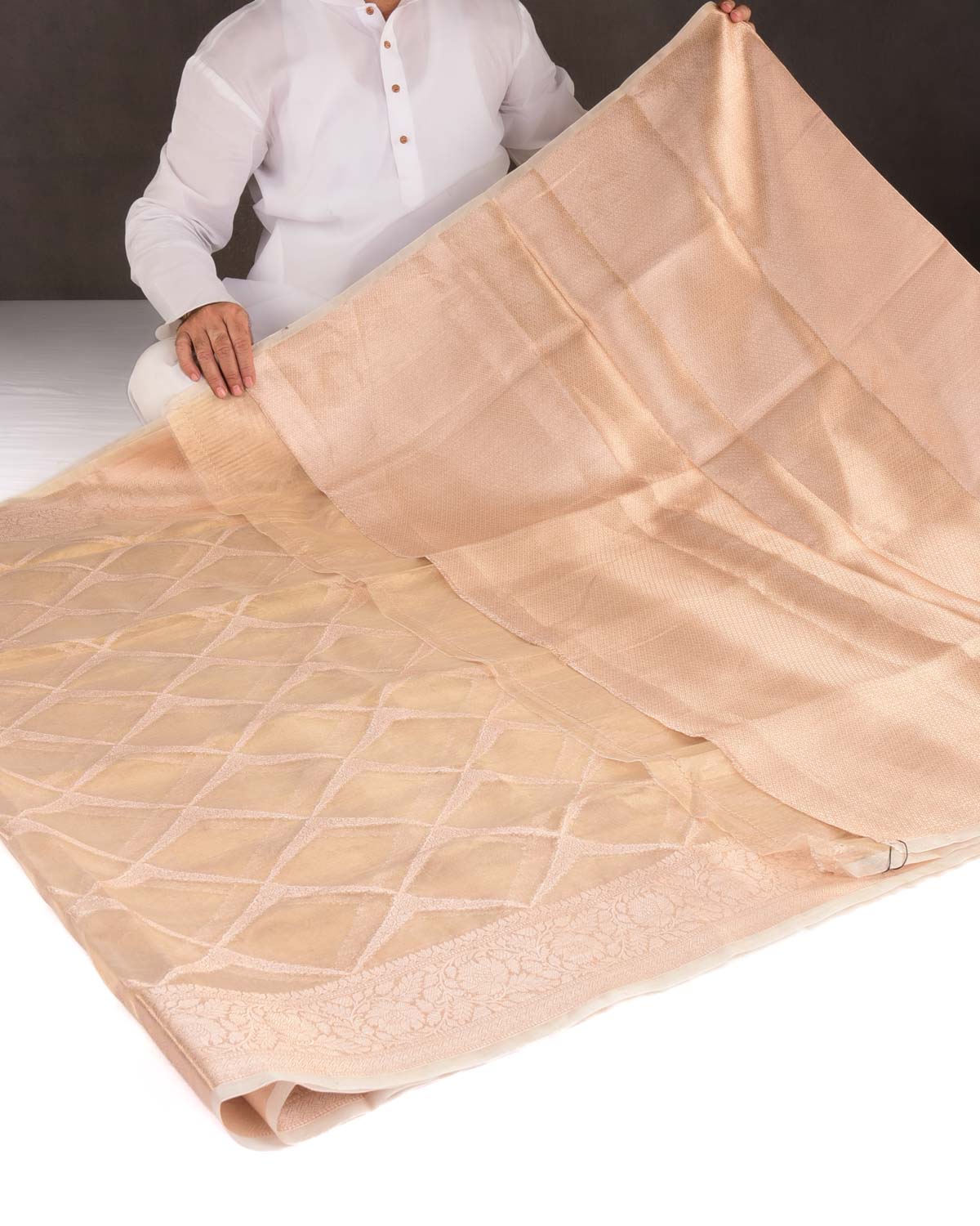 Metallic Gold Ornament Grids Cutwork Brocade Handwoven Kora Tissue Banarasi Saree-HolyWeaves