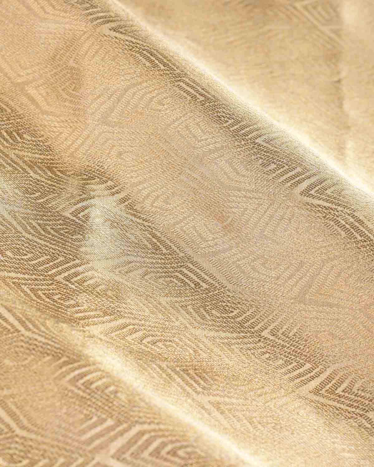 Metallic Gold Illusion Honeycomb Brocade Handwoven Tissue Banarasi Saree-HolyWeaves