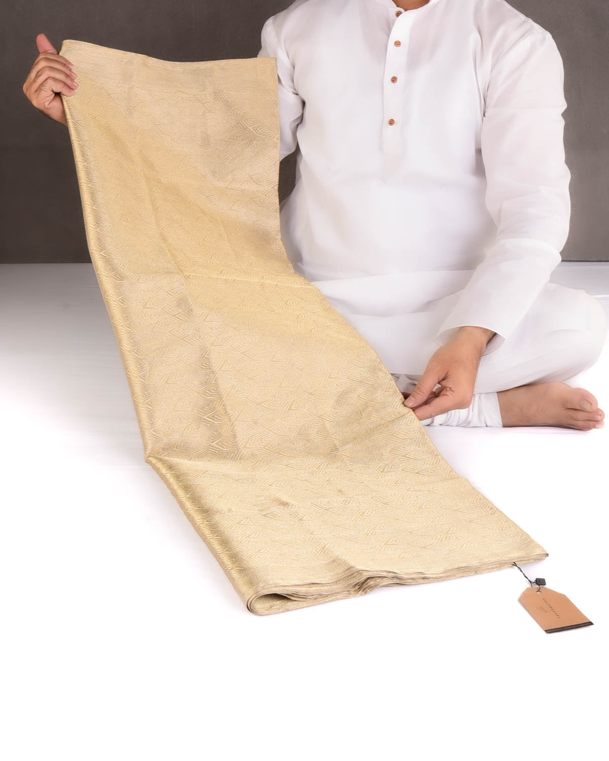 Metallic Gold Illusion Honeycomb Brocade Handwoven Tissue Banarasi Saree-HolyWeaves