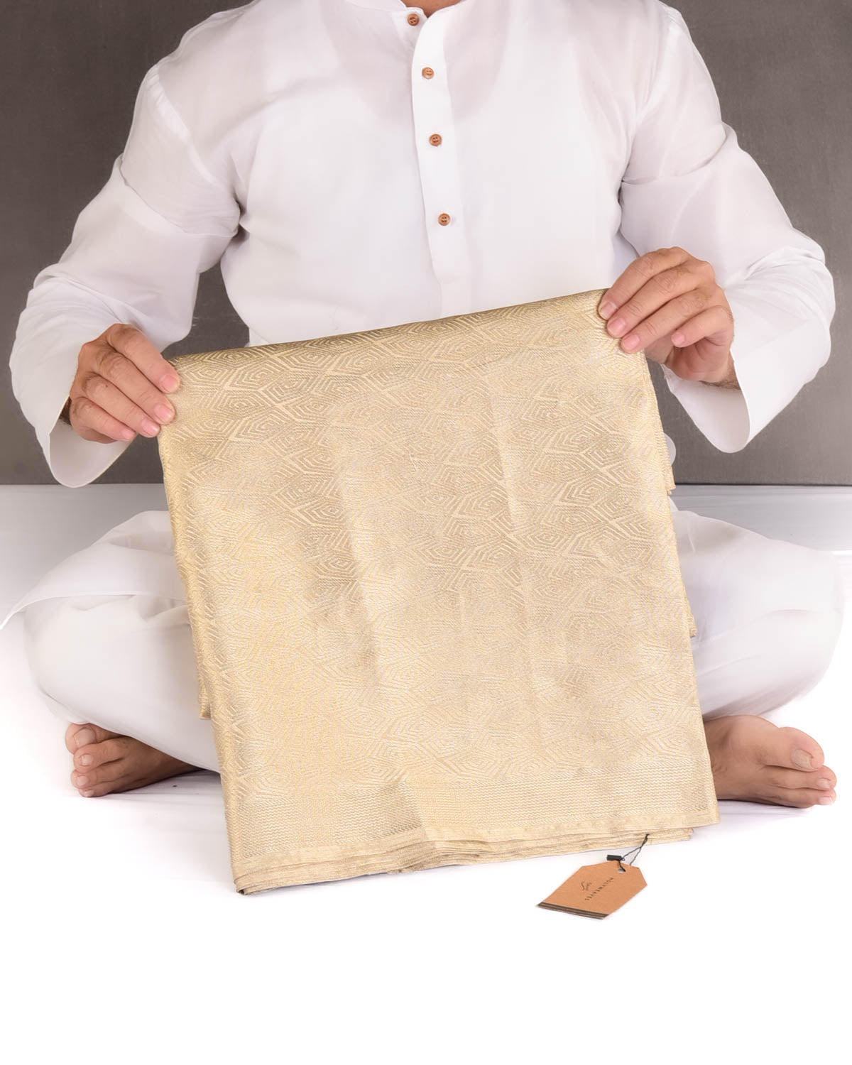 Metallic Gold Illusion Honeycomb Brocade Handwoven Tissue Banarasi Saree-HolyWeaves