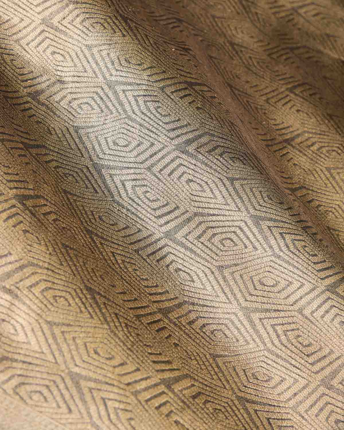 Metallic Black Illusion Honeycomb Brocade Handwoven Tissue Banarasi Saree-HolyWeaves