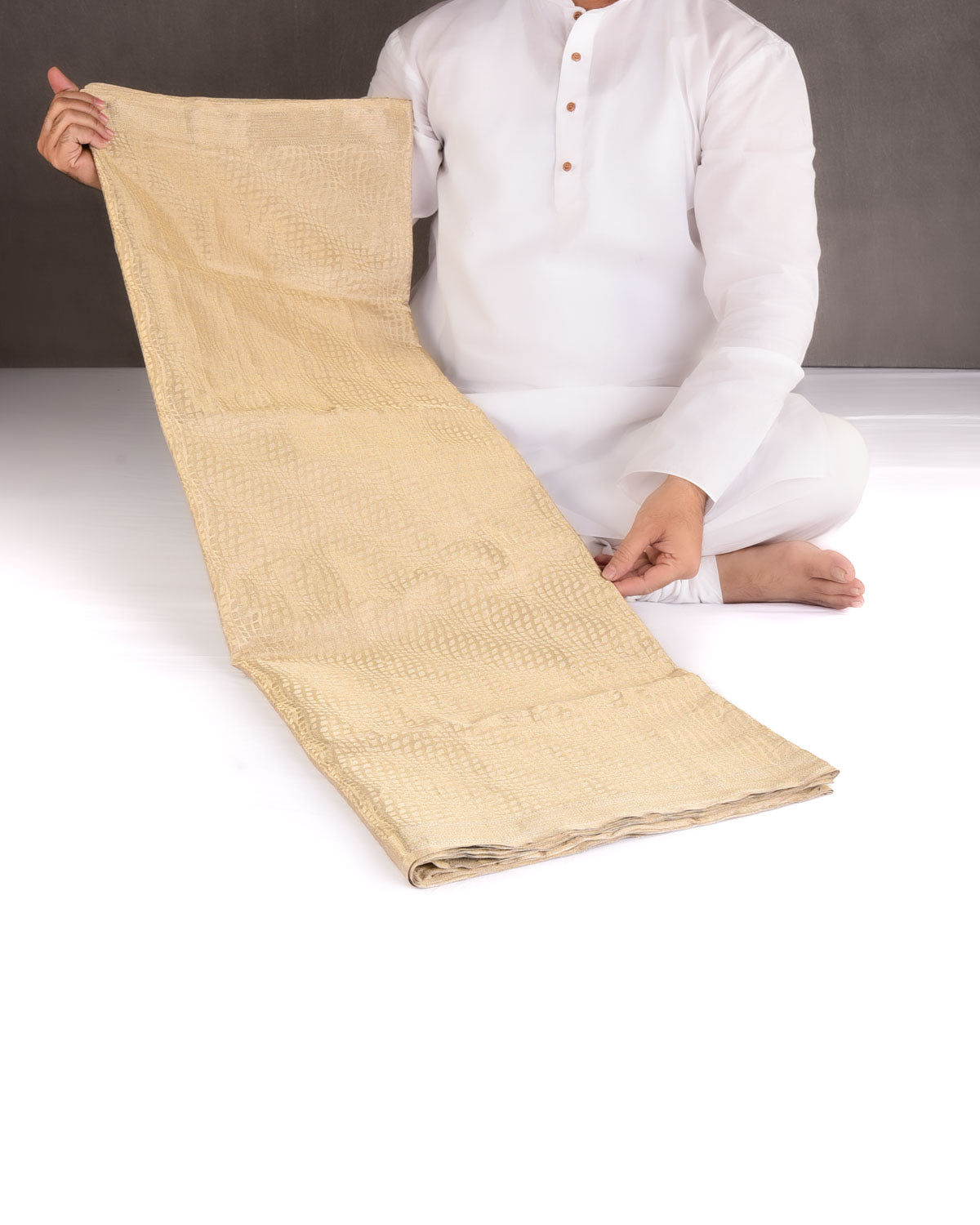 Metallic Gold Illusion Waves Brocade Handwoven Tissue Banarasi Saree-HolyWeaves