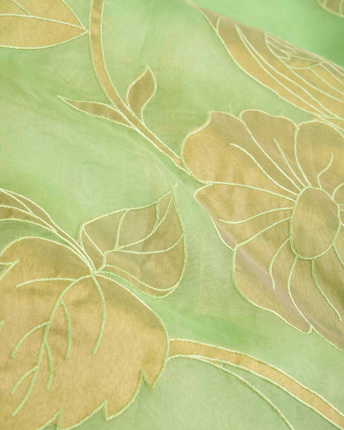 Powder Green Parrots Applique Kora Silk Saree with Tissue Blouse Piece-HolyWeaves