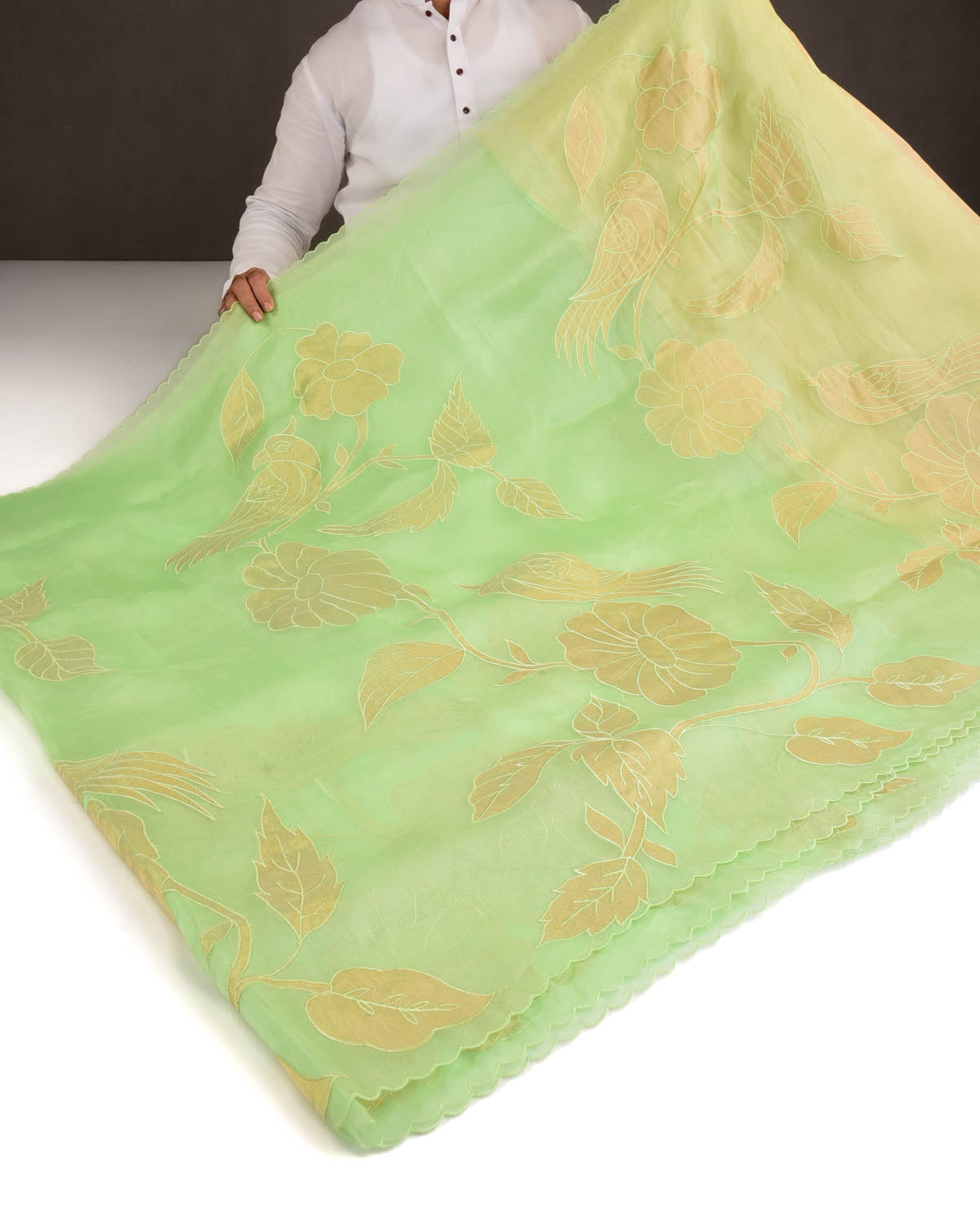 Powder Green Parrots Applique Kora Silk Saree with Tissue Blouse Piece-HolyWeaves