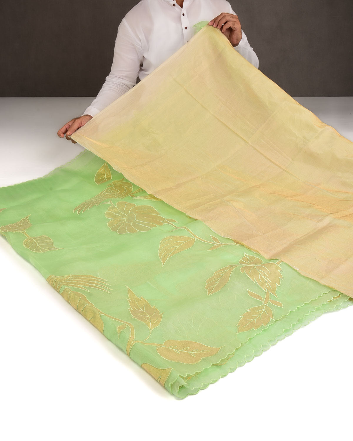 Powder Green Parrots Applique Kora Silk Saree with Tissue Blouse Piece-HolyWeaves