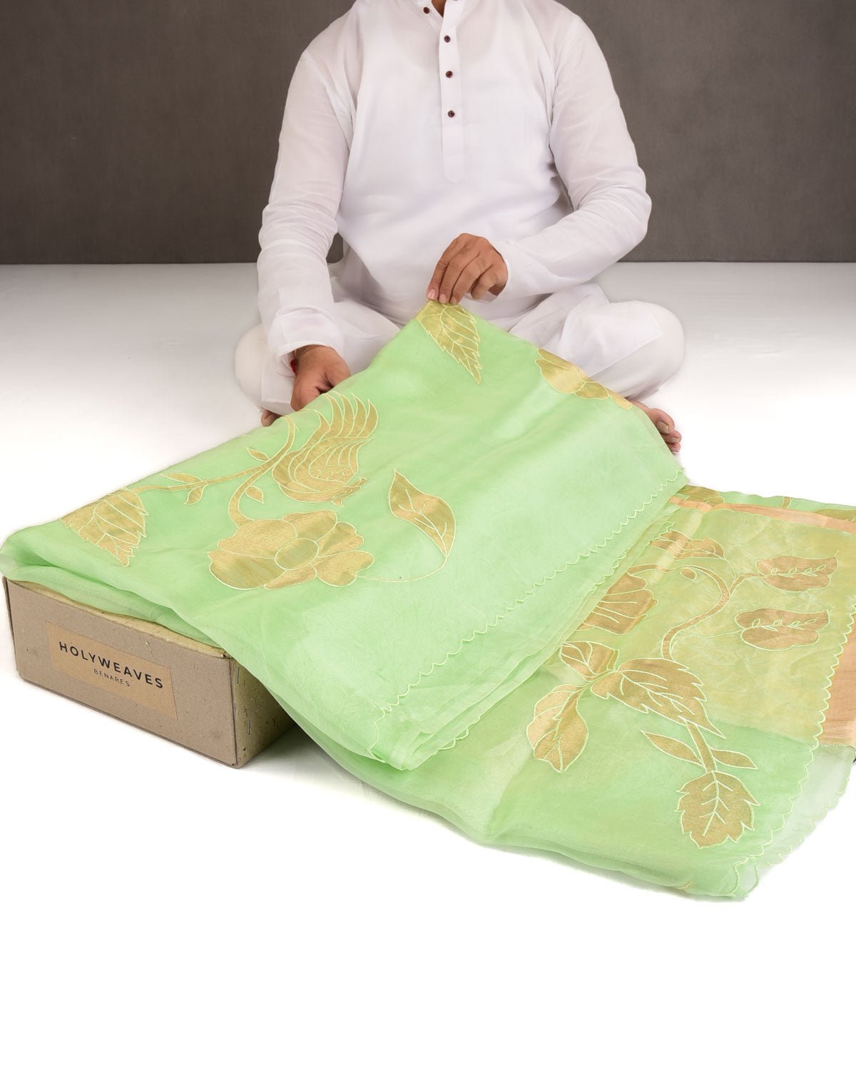 Powder Green Parrots Applique Kora Silk Saree with Tissue Blouse Piece-HolyWeaves