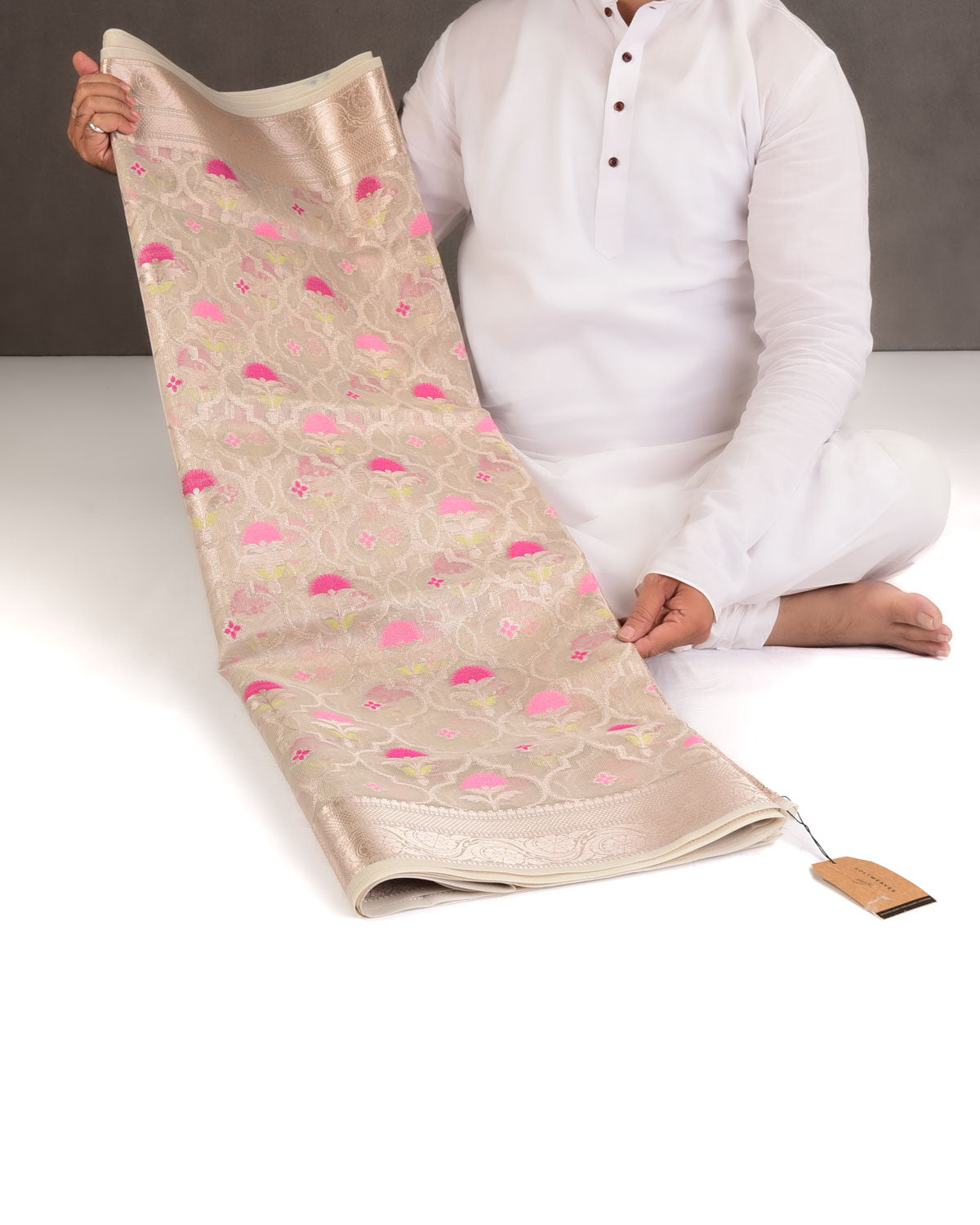 Metallic Beige Ethnic Grids Cutwork Brocade Woven Art Cotton Tissue Banarasi Saree-HolyWeaves