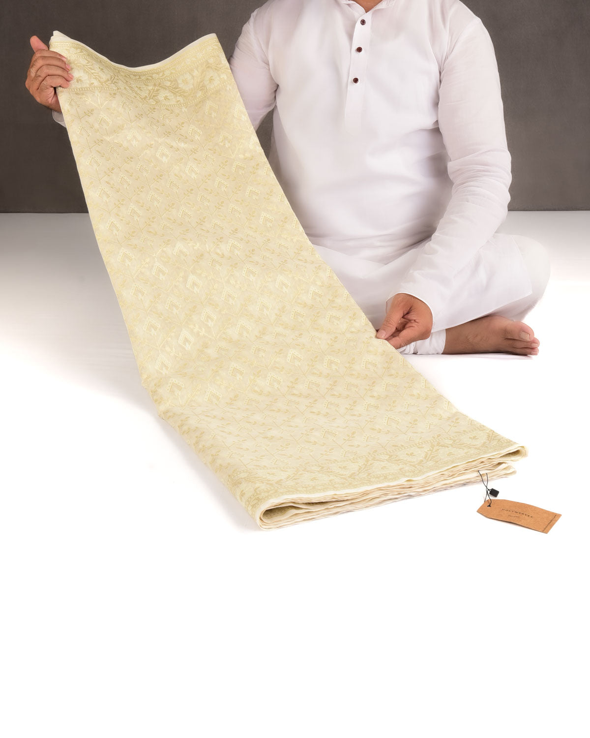 Ivory White Gold Zari & Resham Cutwork Brocade Woven Art Cotton Silk Banarasi Saree-HolyWeaves