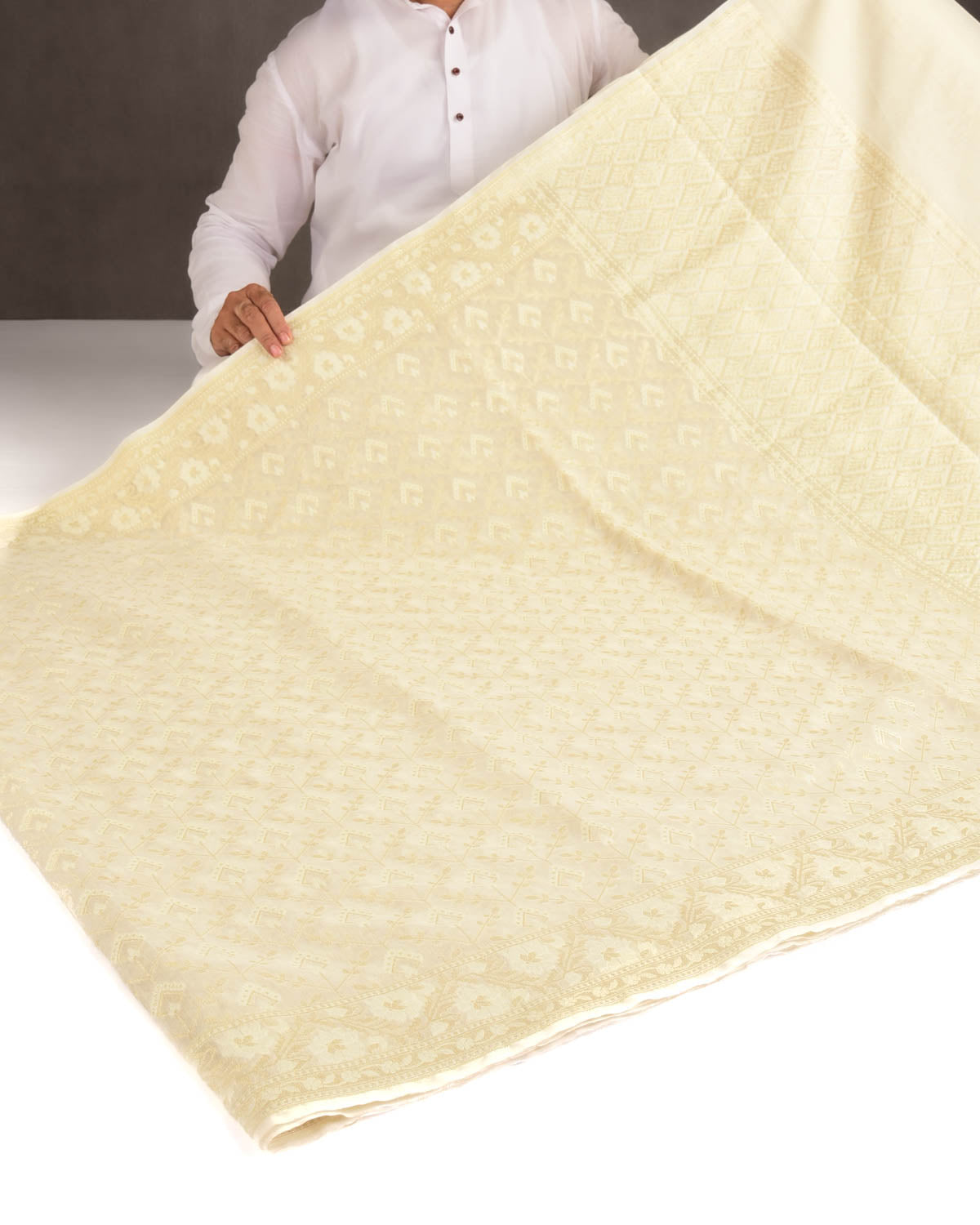 Ivory White Gold Zari & Resham Cutwork Brocade Woven Art Cotton Silk Banarasi Saree-HolyWeaves