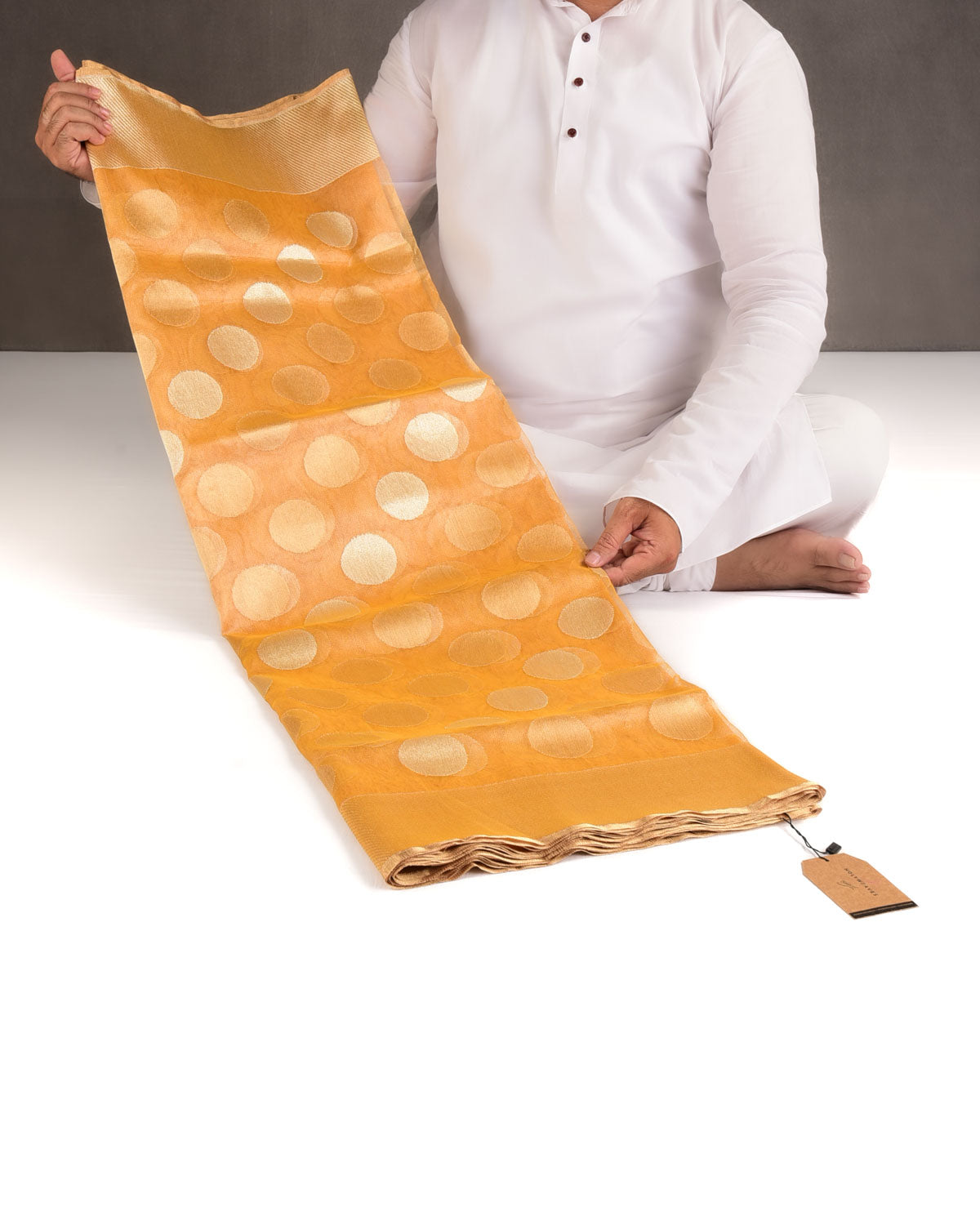 Metallic Yellow Gold and Silver Zari Big Polka Kadhuan Brocade Handwoven Net Tissue Banarasi Saree-HolyWeaves