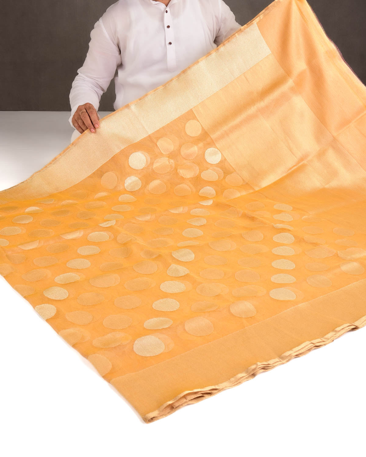 Metallic Yellow Gold and Silver Zari Big Polka Kadhuan Brocade Handwoven Net Tissue Banarasi Saree-HolyWeaves