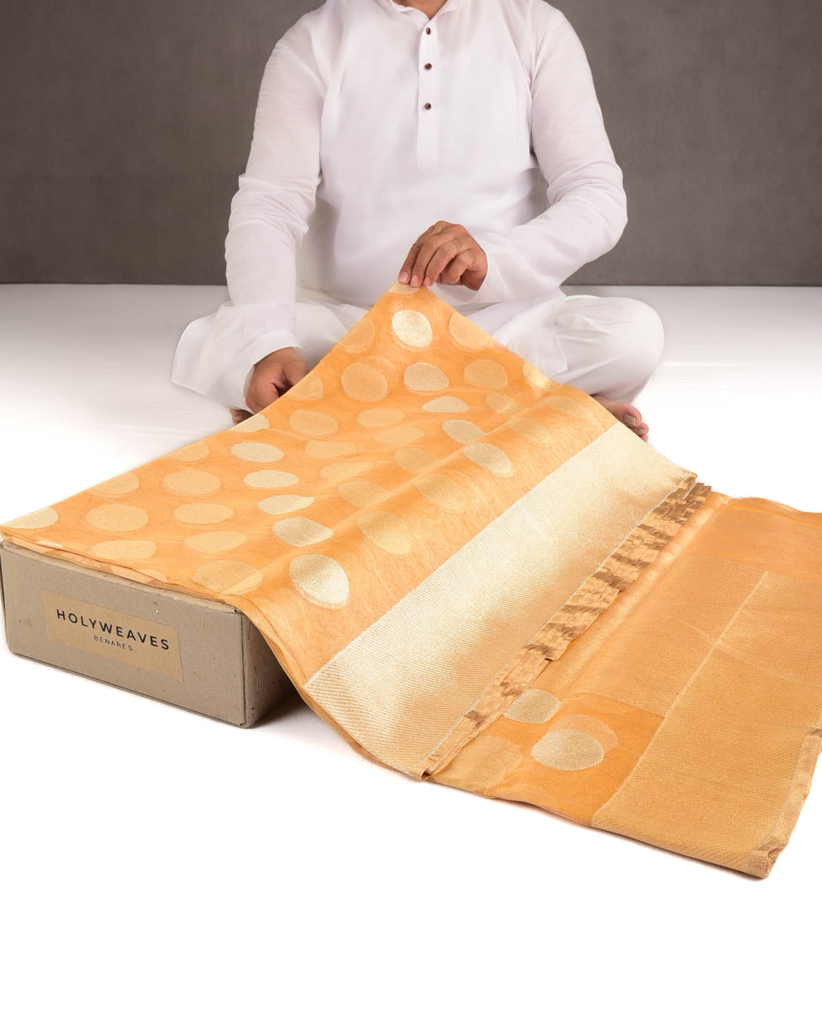 Metallic Yellow Gold and Silver Zari Big Polka Kadhuan Brocade Handwoven Net Tissue Banarasi Saree-HolyWeaves