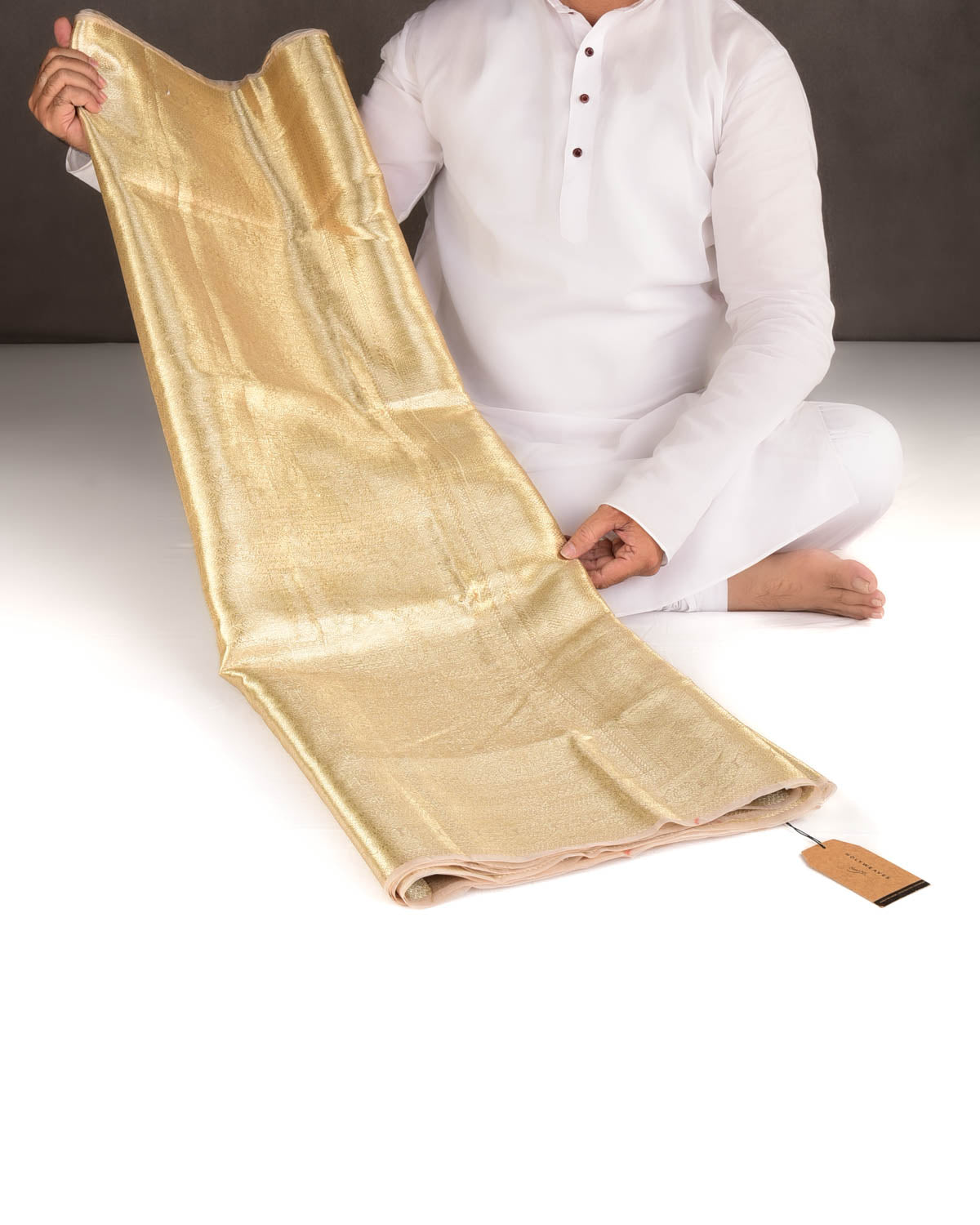 Metallic Gold Zari Tanchoi Brocade Woven Tissue Banarasi Saree-HolyWeaves
