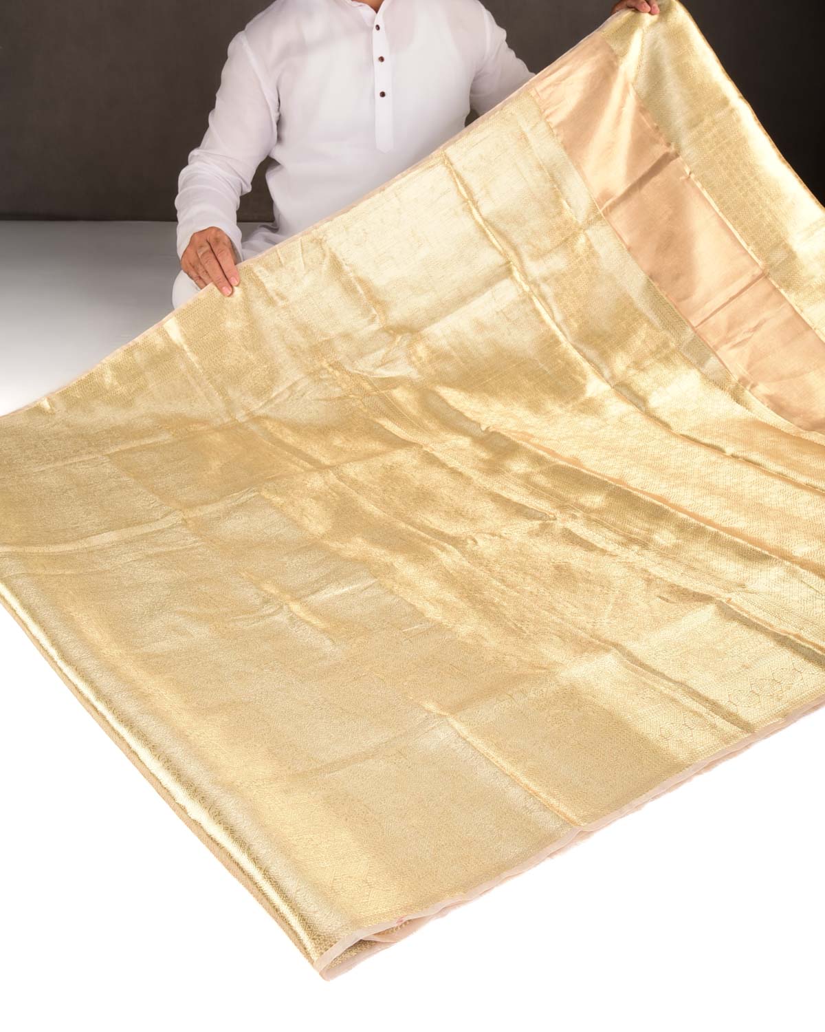 Metallic Gold Zari Tanchoi Brocade Woven Tissue Banarasi Saree-HolyWeaves