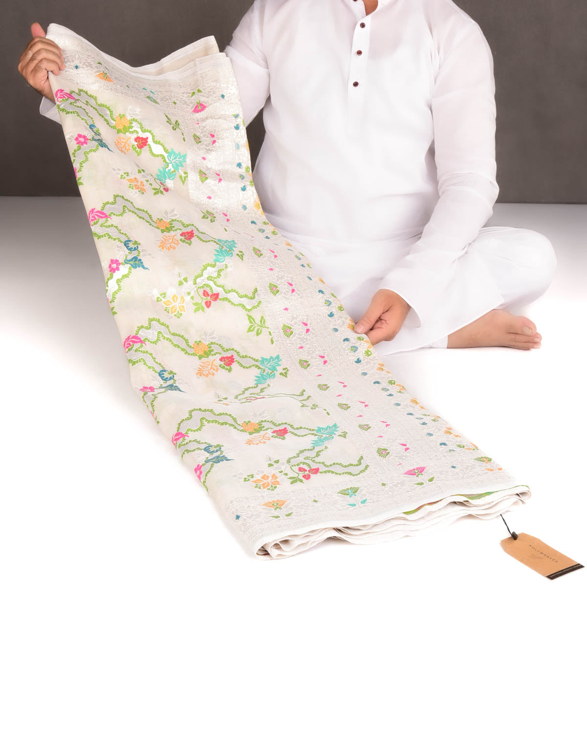 Beige Silver Zari & Resham Floral Jaal Cutwork Brocade Handwoven Tasar Georgette Banarasi Saree-HolyWeaves