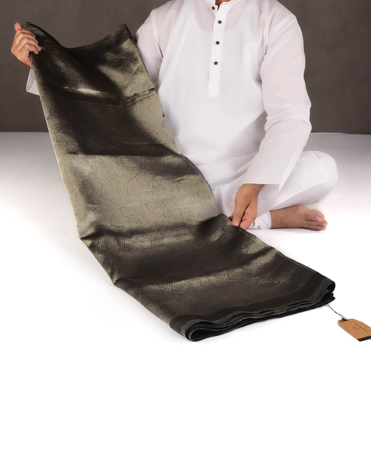 Metallic Silver WATERMARK Illusion Honeycomb Handwoven Handwoven Kora Tissue Banarasi Saree-HolyWeaves