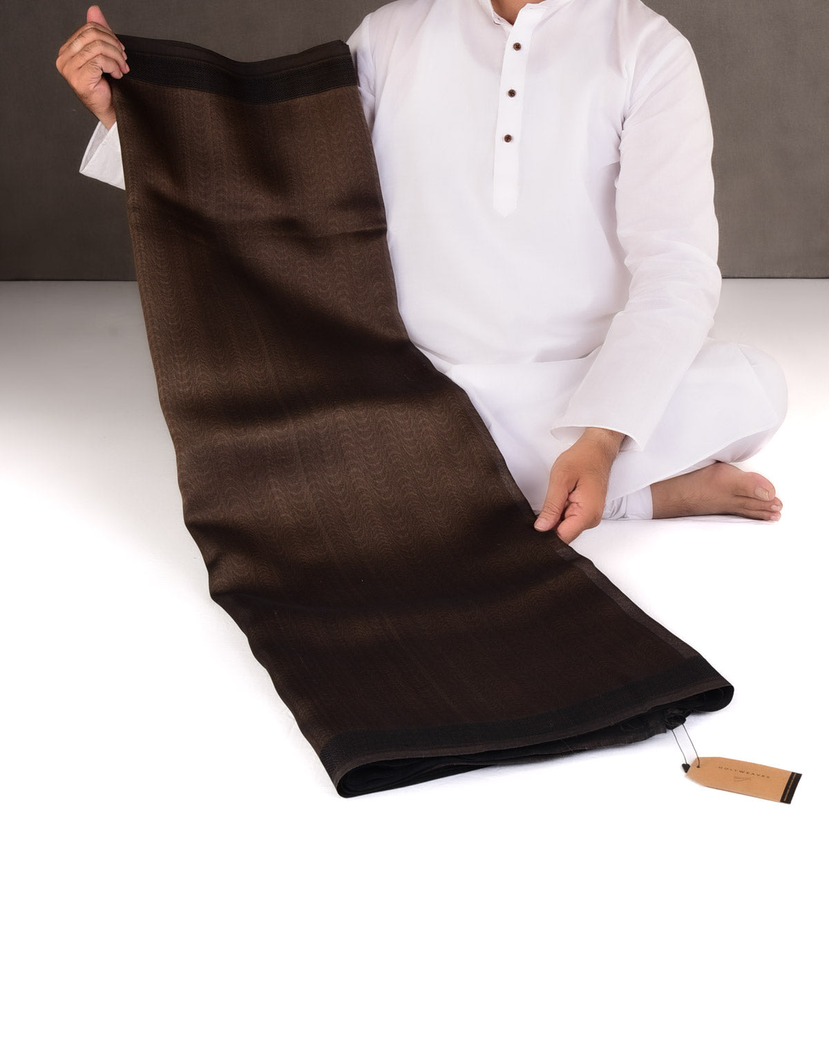 Brown WATERMARK Illusion Waves Tanchoi Handwoven Kora Silk Banarasi Saree-HolyWeaves