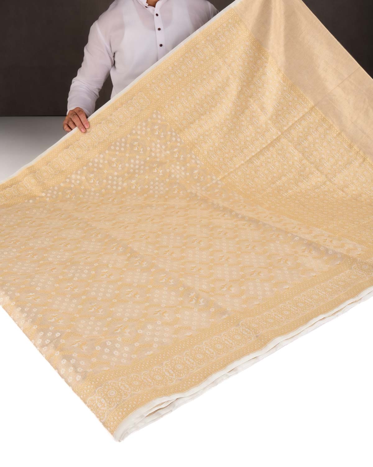 Metallic Beige Zari & Resham Jangla Cutwork Brocade Woven Art Cotton Tissue Banarasi Saree-HolyWeaves