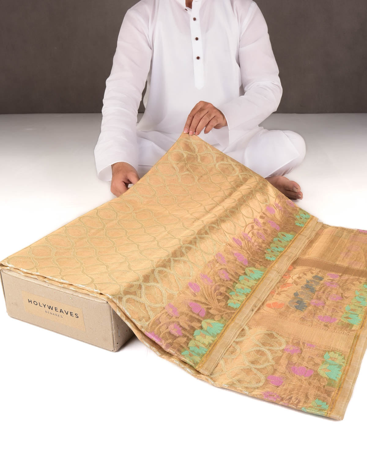Metallic Gold Silver Zari Grids Cutwork Brocade Woven Tissue Banarasi Saree with Meenekari Border Pallu-HolyWeaves