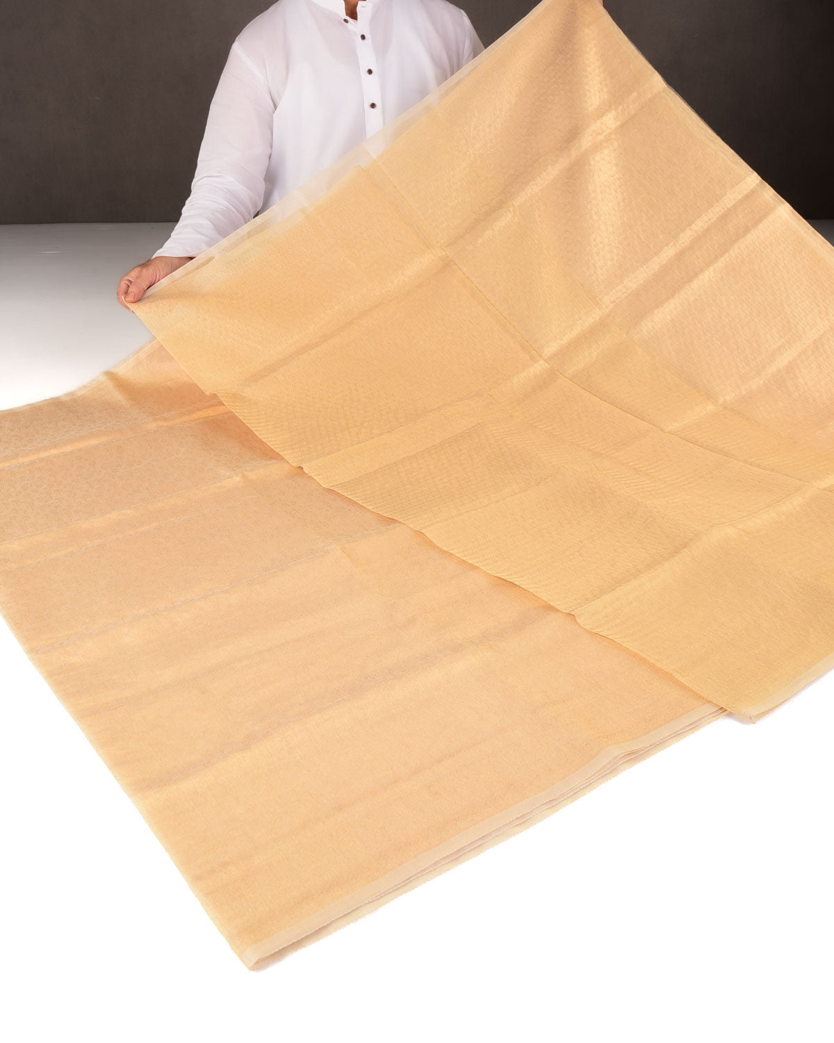 Metallic Yellow Gold Self Tanchoi Woven Kora Tissue Banarasi Saree-HolyWeaves