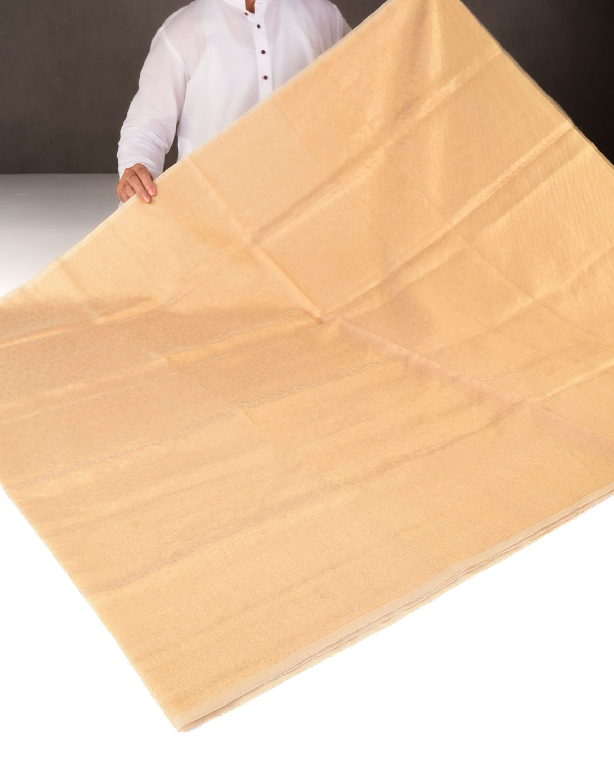 Metallic Yellow Gold Self Tanchoi Woven Kora Tissue Banarasi Saree-HolyWeaves