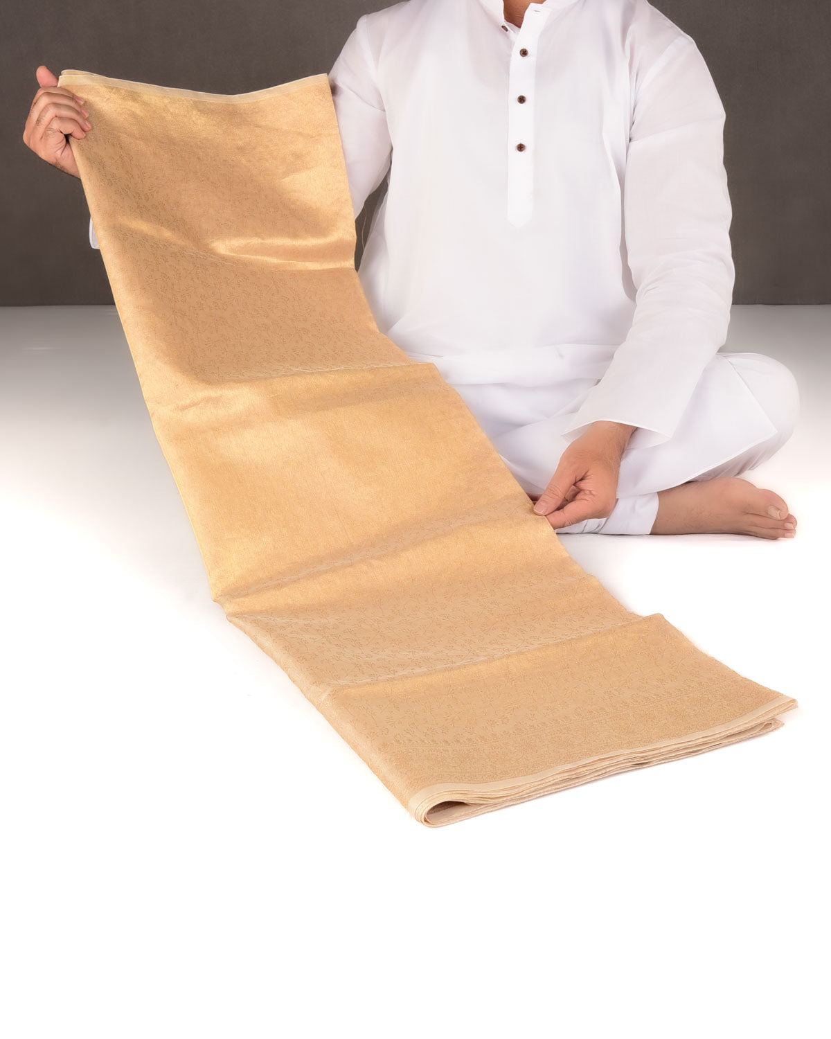 Metallic Yellow Gold Self Tanchoi Woven Kora Tissue Banarasi Saree-HolyWeaves