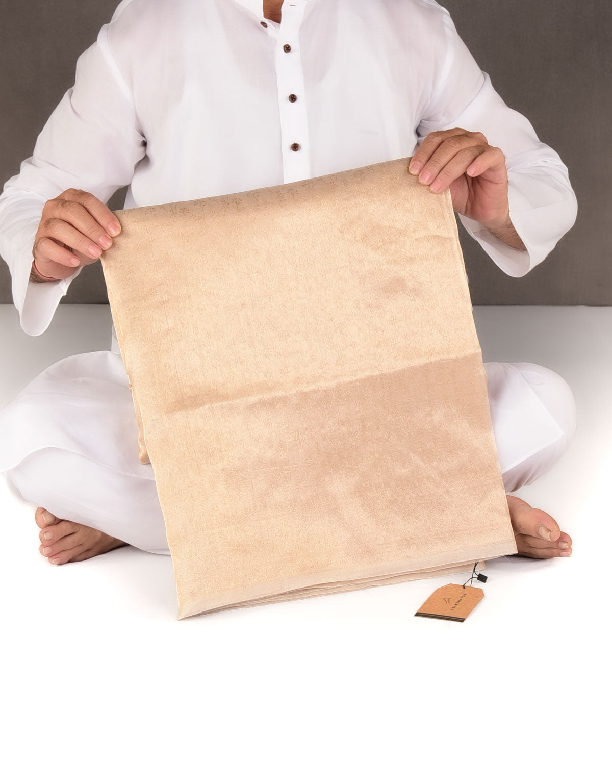 Metallic Gold Self Tanchoi Woven Kora Tissue Banarasi Saree-HolyWeaves