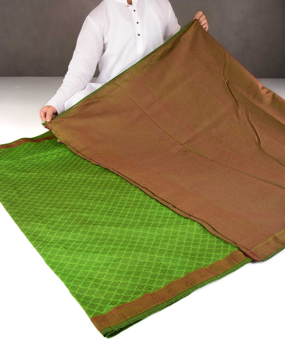 Green WATREMARK Moroccon Grids Tanchoi Handwoven Silk Wool Banarasi Saree with Contrast Red Border Pallu-HolyWeaves