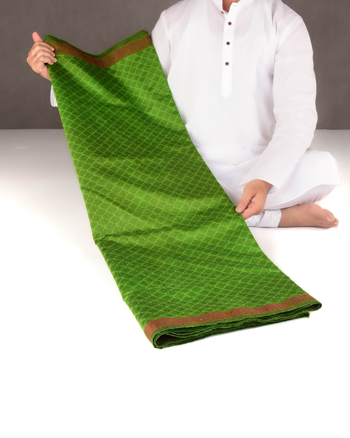 Green WATREMARK Moroccon Grids Tanchoi Handwoven Silk Wool Banarasi Saree with Contrast Red Border Pallu-HolyWeaves