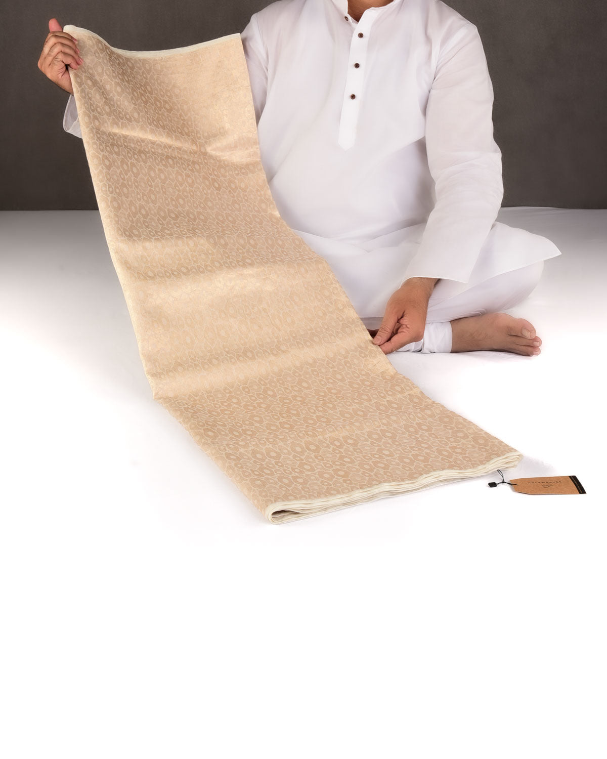 Cream Gold Zari Abstract Geometric Brocade Woven Cotton Silk Banarasi Saree-HolyWeaves