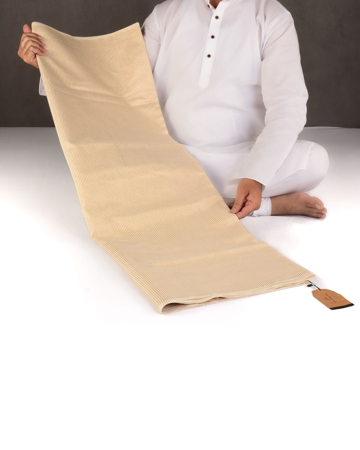 Cream Gold Zari Stripes Brocade Woven Cotton Silk Banarasi Saree with Tissue Blouse Piece-HolyWeaves